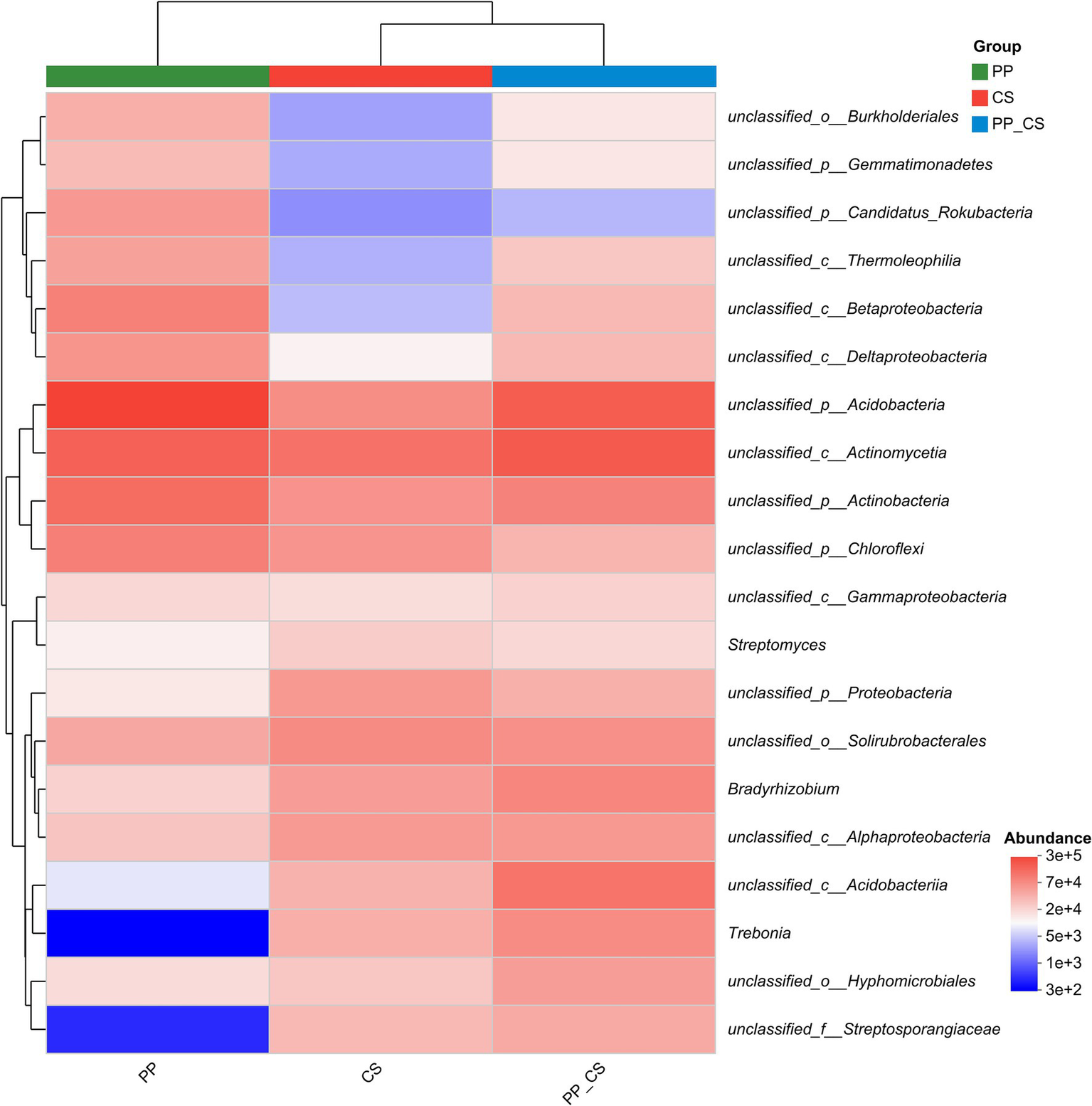 Heatmap showing the abundance of various unclassified bacteria across three groups: PP, CS, and PP_CS. Abundance levels are indicated by a color gradient from blue (low) to red (high). Major bacteria classes include Burkholderiales, Thermoleophilia, Betaproteobacteria, and Proteobacteria. A dendrogram on the left groups similar bacteria based on abundance patterns.