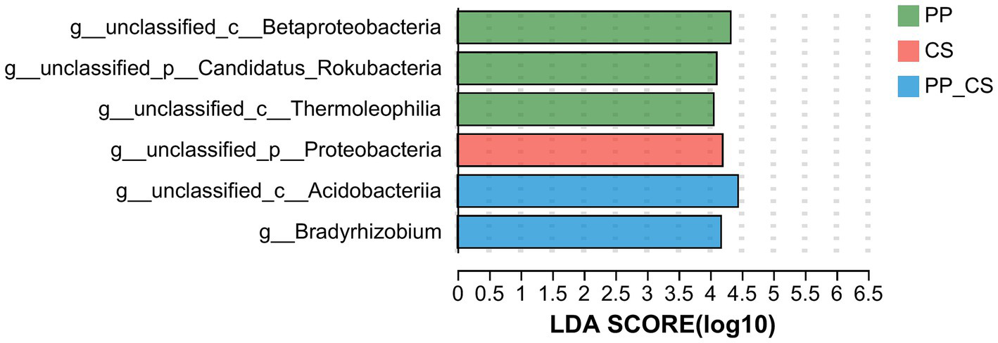 Horizontal bar graph showing LDA scores for different bacteria, including Betaproteobacteria and Candidatus Rokubacteria, among others. Bars are color-coded: green for PP, red for CS, and blue for PP_CS. Scores range from zero to seven.