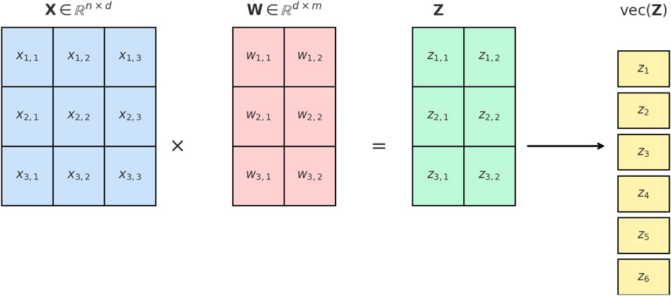 Matrix multiplication visualization involving three matrices. A \(3 \times 3\) blue matrix \(X\) multiplies a \(3 \times 2\) pink matrix \(W\) to yield a \(3 \times 2\) green matrix \(Z\). The elements of \(Z\) are subsequently vectorized into a single column vector labeled \(\text{vec}(Z)\), with elements \(Z_1\) to \(Z_6\).