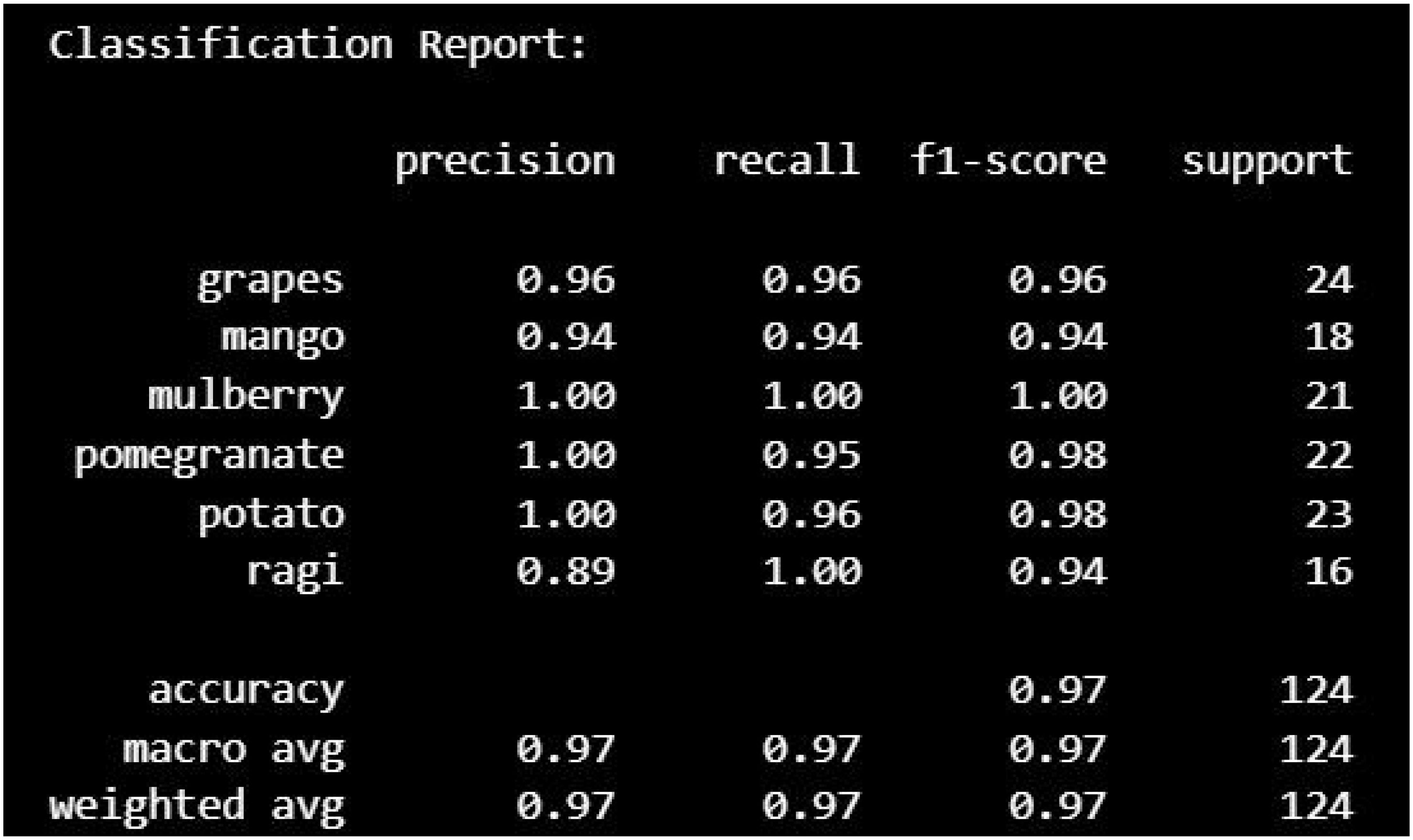 Classification report table showing precision, recall, f1-score, and support for various items. Grapes: precision 0.96, recall 0.96, f1-score 0.96, support 24. Mango: precision 0.94, recall 0.94, f1-score 0.94, support 18. Mulberry, pomegranate, and potato each show precision and recall of 1.00, 1.00, with support of 21, 22, and 23, respectively. Ragi: precision 0.89, recall 1.00, f1-score 0.94, support 16. Overall accuracy is 0.97. Macro and weighted averages for precision, recall, and f1-score are all 0.97 with support 124.