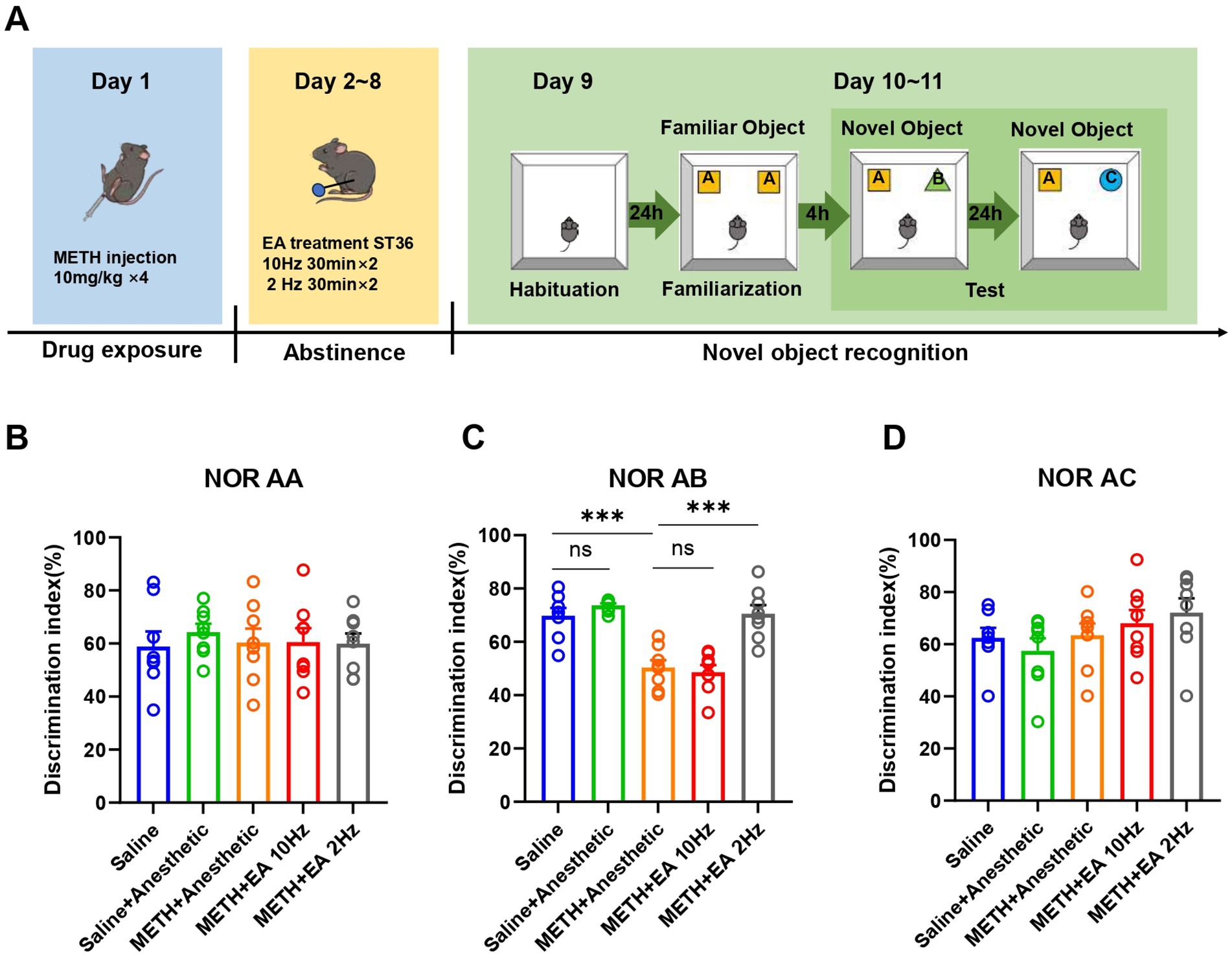Experimental design illustration and bar graphs. Panel A shows a timeline of a study involving mice exposed to methamphetamine on Day 1, followed by electroacupuncture treatment on Days 2 to 8, habituation on Day 9, and novel object recognition testing on Days 10 to 11. Panels B, C, and D display discrimination index percentages for different treatment groups: Saline, Saline + Anesthetic, METH + Anesthetic, METH + EA 10Hz, and METH + EA 2Hz, across three conditions: NOR AA, NOR AB, and NOR AC. Significant differences are indicated with asterisks.