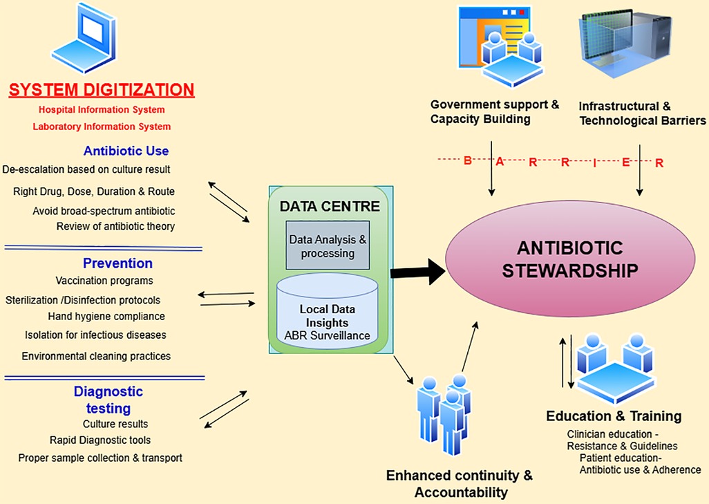 Diagram illustrating antibiotic stewardship through system digitization and data analysis. Key components include antibiotic use, prevention, and diagnostic testing feeding into a data center. Arrows indicate processes such as data analysis and local data insights, leading to stewardship improvement. Barriers include government support and infrastructural challenges. Enhanced continuity and accountability achieved through education and training.