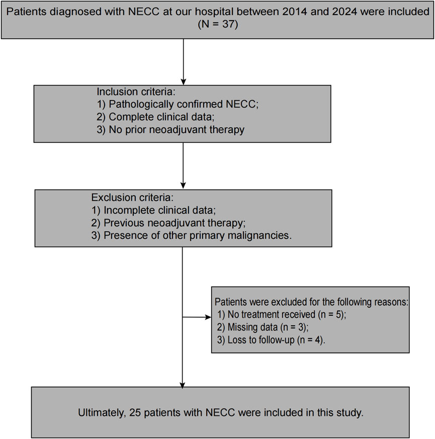 Flowchart of a study selection process for patients with NECC. Initially, 37 patients diagnosed from 2014 to 2024 were considered. Inclusion criteria: pathologically confirmed NECC, complete clinical data, and no prior neoadjuvant therapy. Exclusion criteria: incomplete data, prior therapy, or other malignancies. Additional exclusions: no treatment (5), missing data (3), and loss to follow-up (4). Ultimately, 25 patients were included.