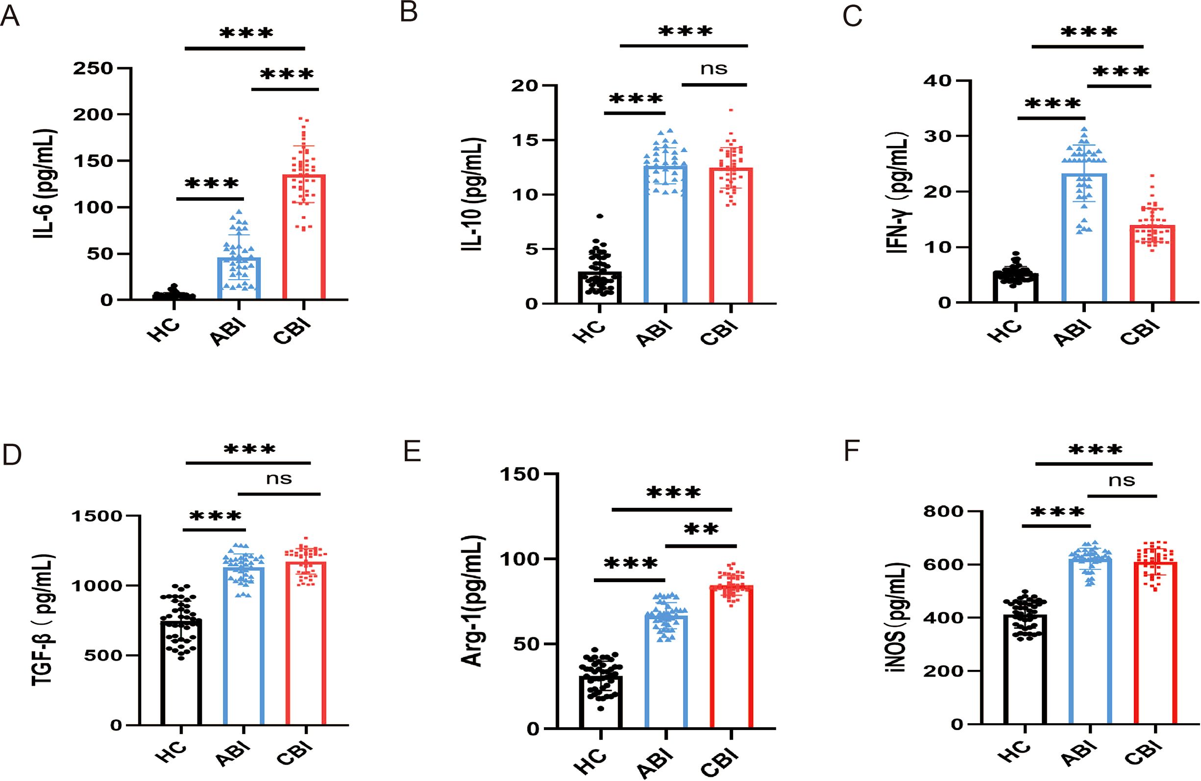 Bar graphs labeled A to F showing cytokine and enzyme levels (IL-6, IL-10, IFN-γ, TGF-β, Arg-1, iNOS) in three groups: HC, ABI, and CBI. Each graph displays significant differences marked by asterisks. Levels generally increase from HC to ABI and CBI.