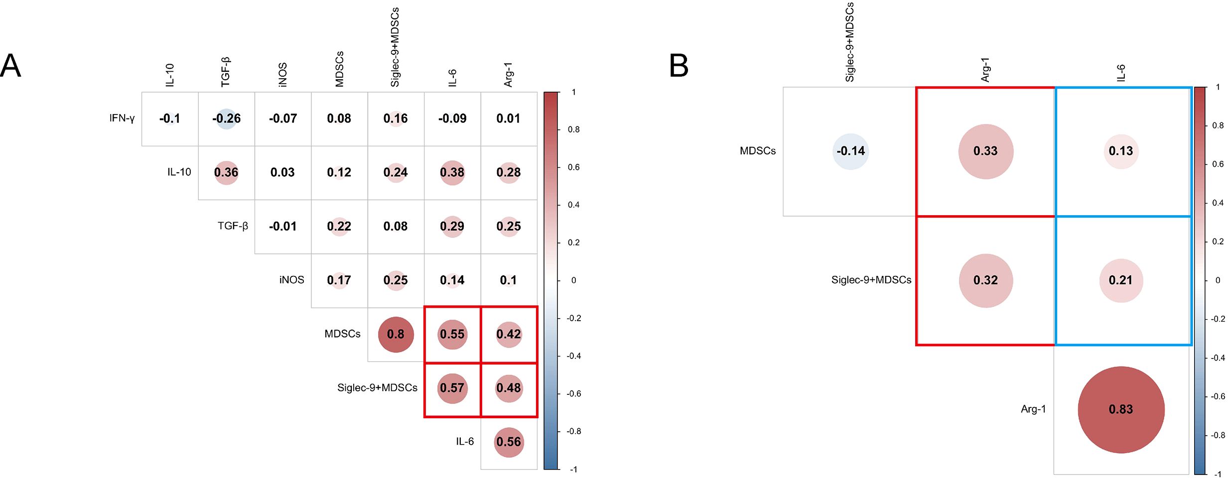 Correlation matrices labeled A and B depict relationships between various immunological markers. A features markers like IFN-γ, IL-10, and MDSCs, with values indicating correlation strength, highlighted by color shading and circle size. B focuses on MDSCs and Siglec-9+MDSCs with correlations to Arg-1 and IL-6, marked by red and blue outlines. A color bar ranges from -1 (blue) to 1 (red) indicating correlation direction and intensity.