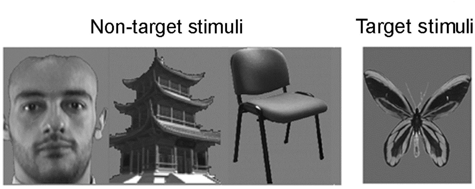 www.frontiersin.org
