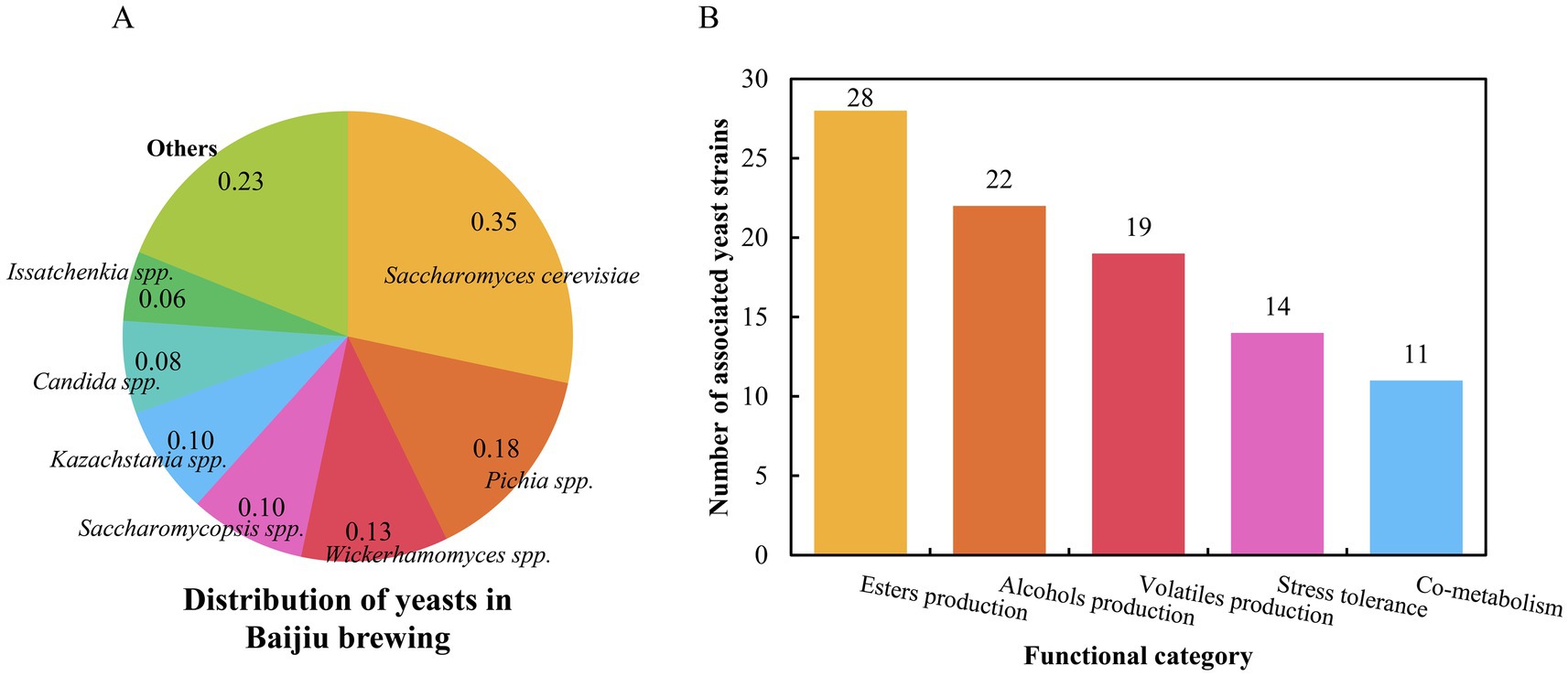 Chart A is a pie chart showing yeast distribution in Baijiu brewing. Saccharomyces cerevisiae comprises 35 percent, Pichia spp. 18 percent, and Wickerhamomyces spp. 13 percent. Others include Saccharomycopsis spp. 10 percent, Kazachstania spp. 10 percent, Candida spp. 8 percent, Issatchenkia spp. 6 percent, and Others 23 percent. Chart B is a bar chart showing the number of yeast strains by function: Esters production (28), Alcohols production (22), Volatiles production (19), Stress tolerance (14), and Co-metabolism (11).