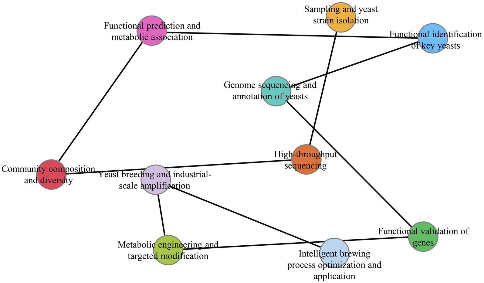 Network diagram showing interconnected nodes related to yeast research and applications. Nodes include “Function prediction and metabolic association,” “Sampling and yeast strain isolation,” “Genome sequencing and annotation of yeasts,” “High-throughput sequencing,” “Functional validation of genes,” “Intelligent brewing process optimization and application,” “Metabolic engineering and targeted modification,” “Yeast breeding and industrial-scale amplification,” “Community composition and diversity,” and “Functional identification of key yeasts.” Each node is connected by lines, indicating relationships.