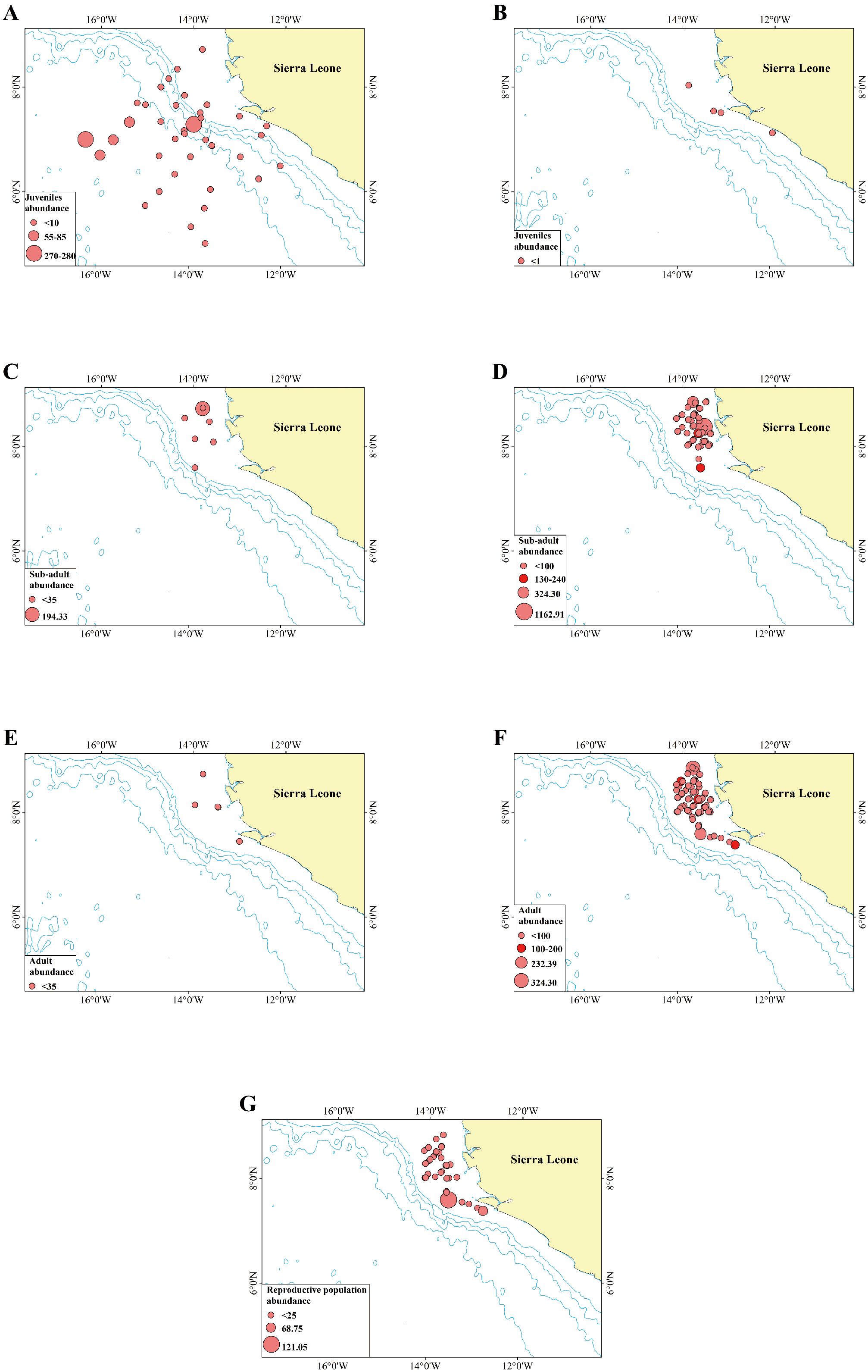 Maps labeled A to G illustrate the abundance of various fish populations off the coast of Sierra Leone. Each map shows different population stages: juveniles, sub-adults, adults, and reproductive populations. The abundance is represented by varying circle sizes. Maps A and B depict juvenile abundance, C and D show sub-adult abundance, E and F present adult abundance, and G illustrates reproductive population abundance. Larger circles indicate higher abundance, mainly concentrated near the coast. The maps include latitude and longitude lines and a color key for circle size significance.