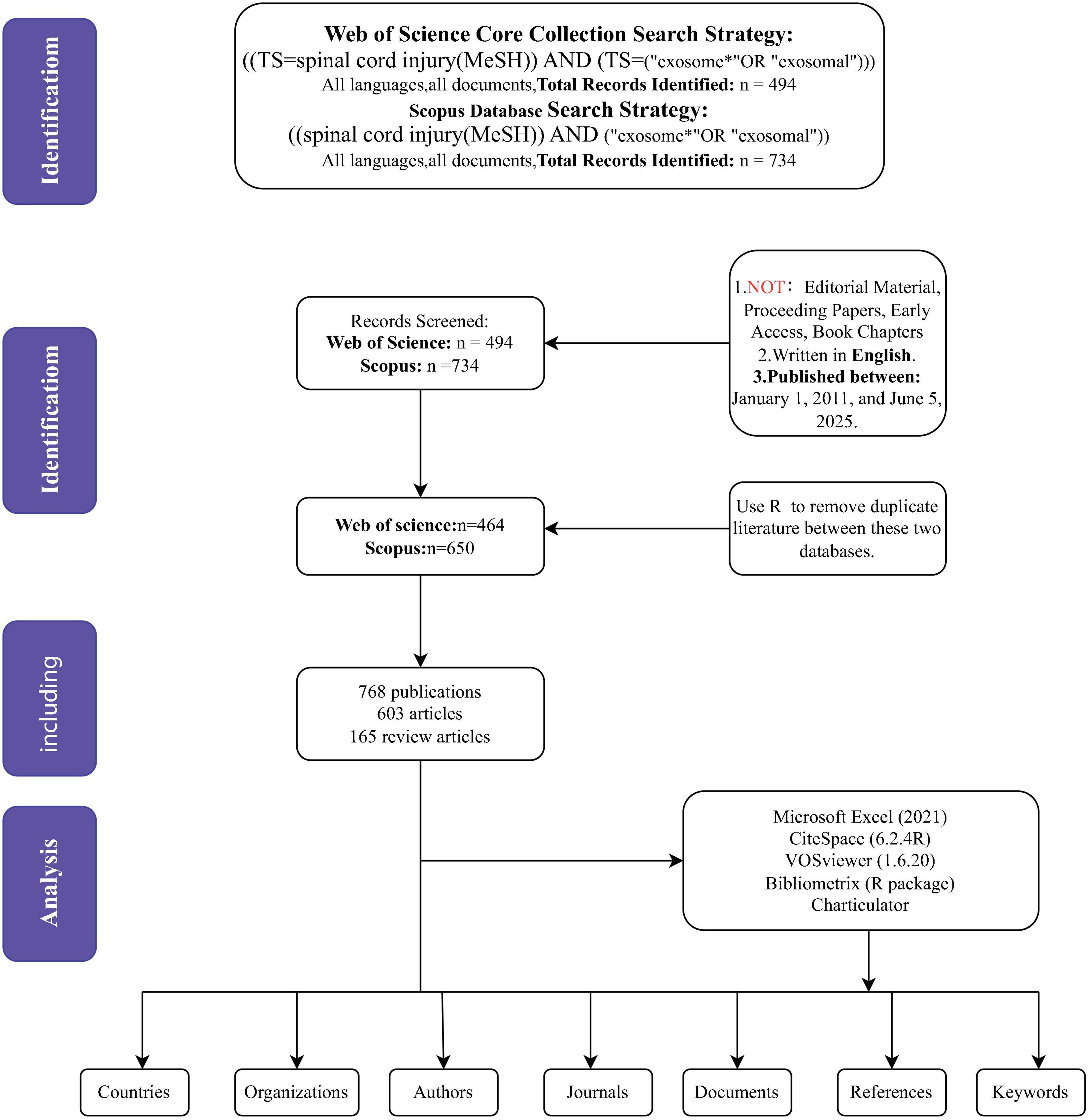 Flowchart depicting a bibliometric analysis process. It starts with identification using search strategies from Web of Science and Scopus, identifying spinal cord injury and exosome literature. Screening results are 494 from Web of Science and 734 from Scopus. Exclusions are non-editorial, non-English, and non-relevant dates. After removing duplicates, 768 publications are included, comprising 603 articles and 165 reviews. Analysis tools include Microsoft Excel, CiteSpace, VOSviewer, Bibliometrix, and Charticulator. Data is categorized into countries, organizations, authors, journals, documents, references, and keywords.