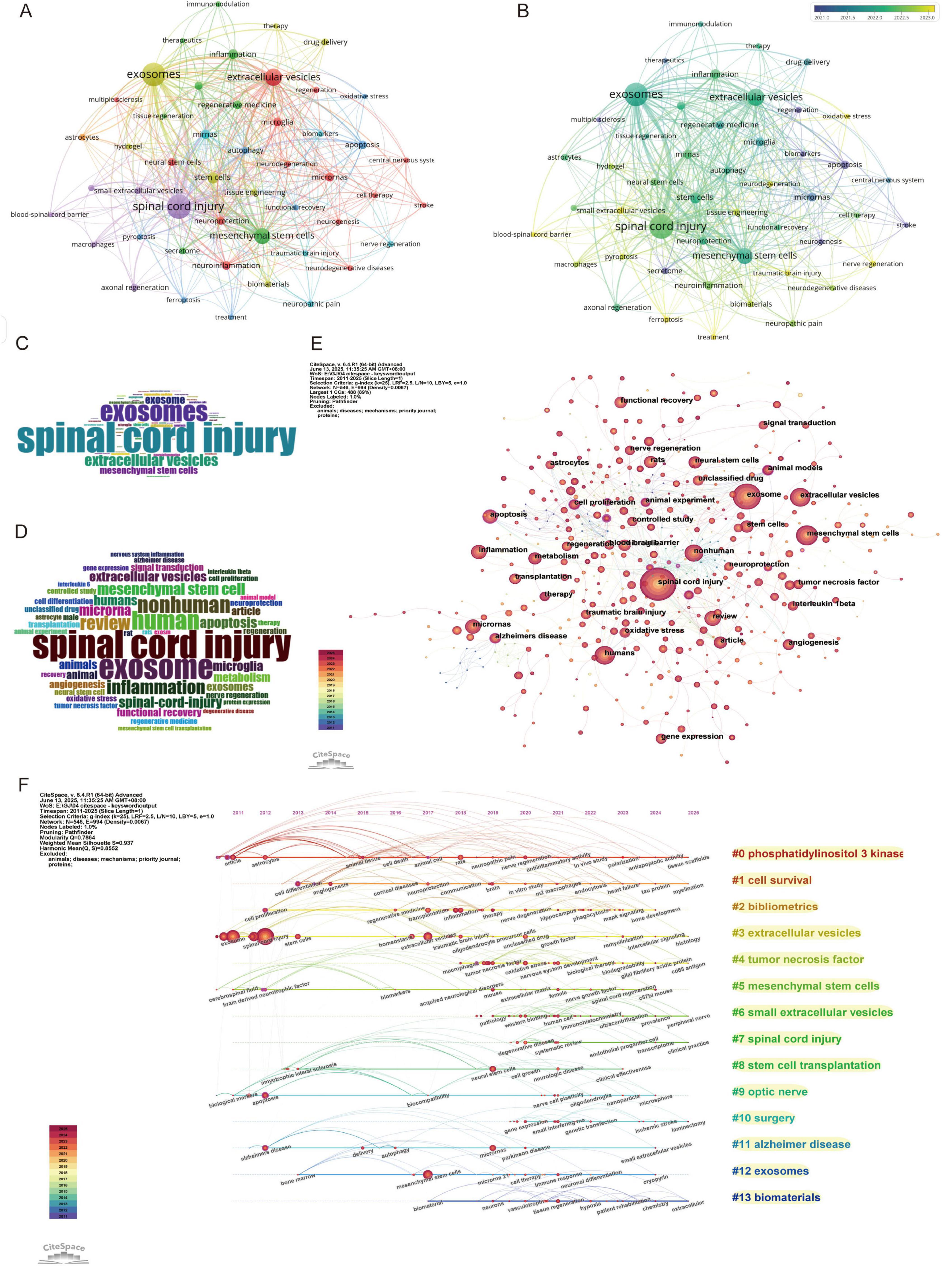 Chart showing the top 25 keywords with the strongest citation bursts from 2011 to 2025. Keywords like “stromal cells” and “spinal cord injury” exhibit high strength, indicated by red bars. Years of peak interest are highlighted, with corresponding beginning and end years marked.