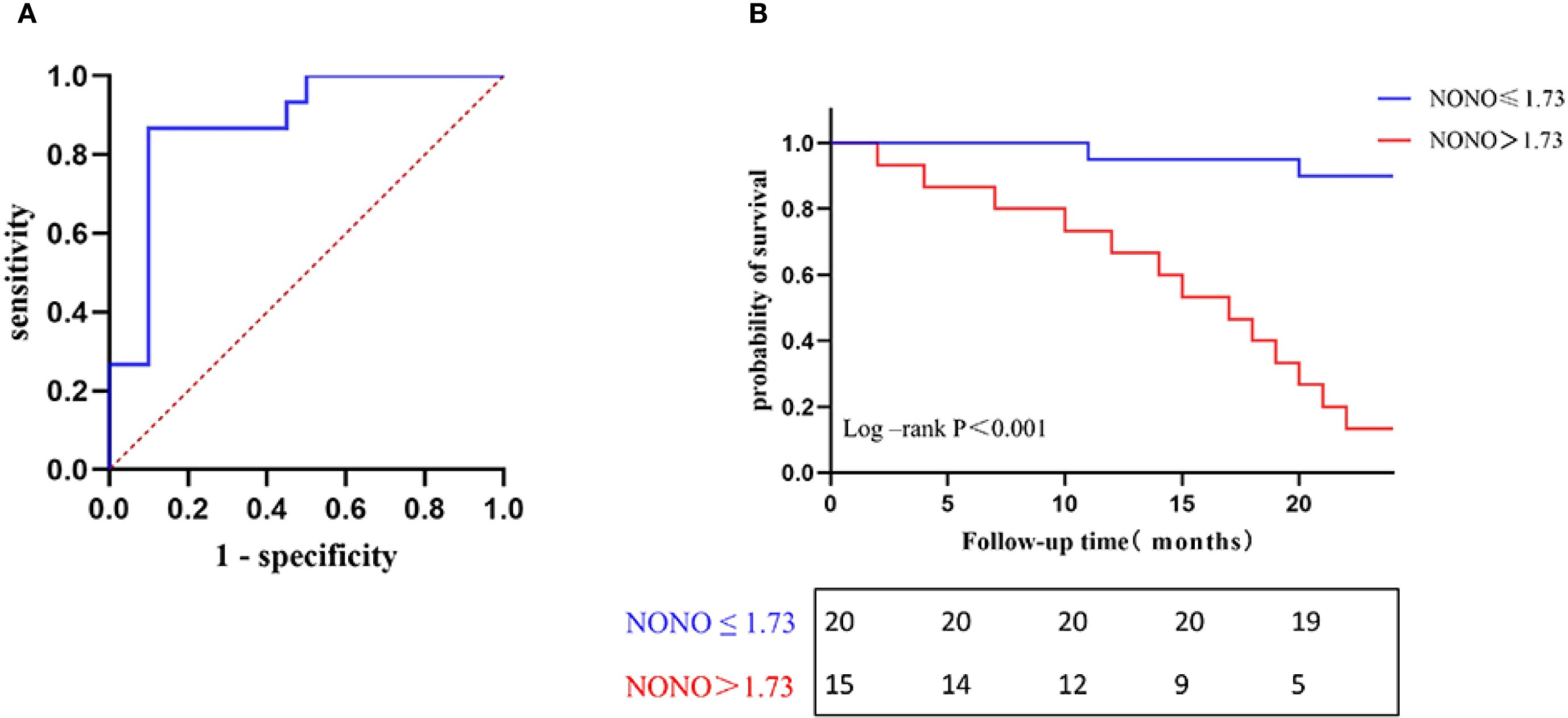 Graph A is a Receiver Operating Characteristic (ROC) curve showing sensitivity versus 1-specificity, with a solid blue line and a diagonal red dashed line. Graph B is a Kaplan-Meier survival curve displaying the probability of survival over time in months, comparing two groups: NONO less than or equal to 1.73 (blue line) and NONO greater than 1.73 (red line), with a log-rank p-value less than 0.001. A table below shows the number of subjects in each group at different follow-up times.