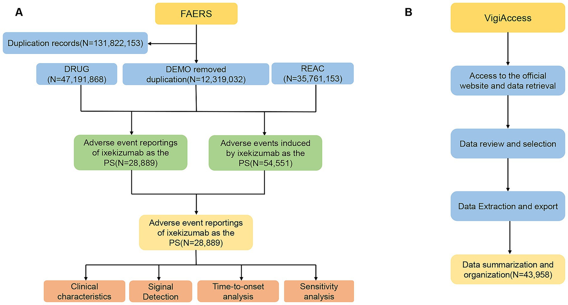 Flowcharts A and B display processes related to adverse event reporting. Chart A, titled FAERS, lists the initial data sources: DRUG, DEMO, and REAC, with specific record counts and leads to adverse event reporting for ixekizumab. It culminates in classifications like clinical characteristics and signal detection. Chart B, titled VigiAccess, details a sequential process from accessing official data to data summarization with a count of 43,958.