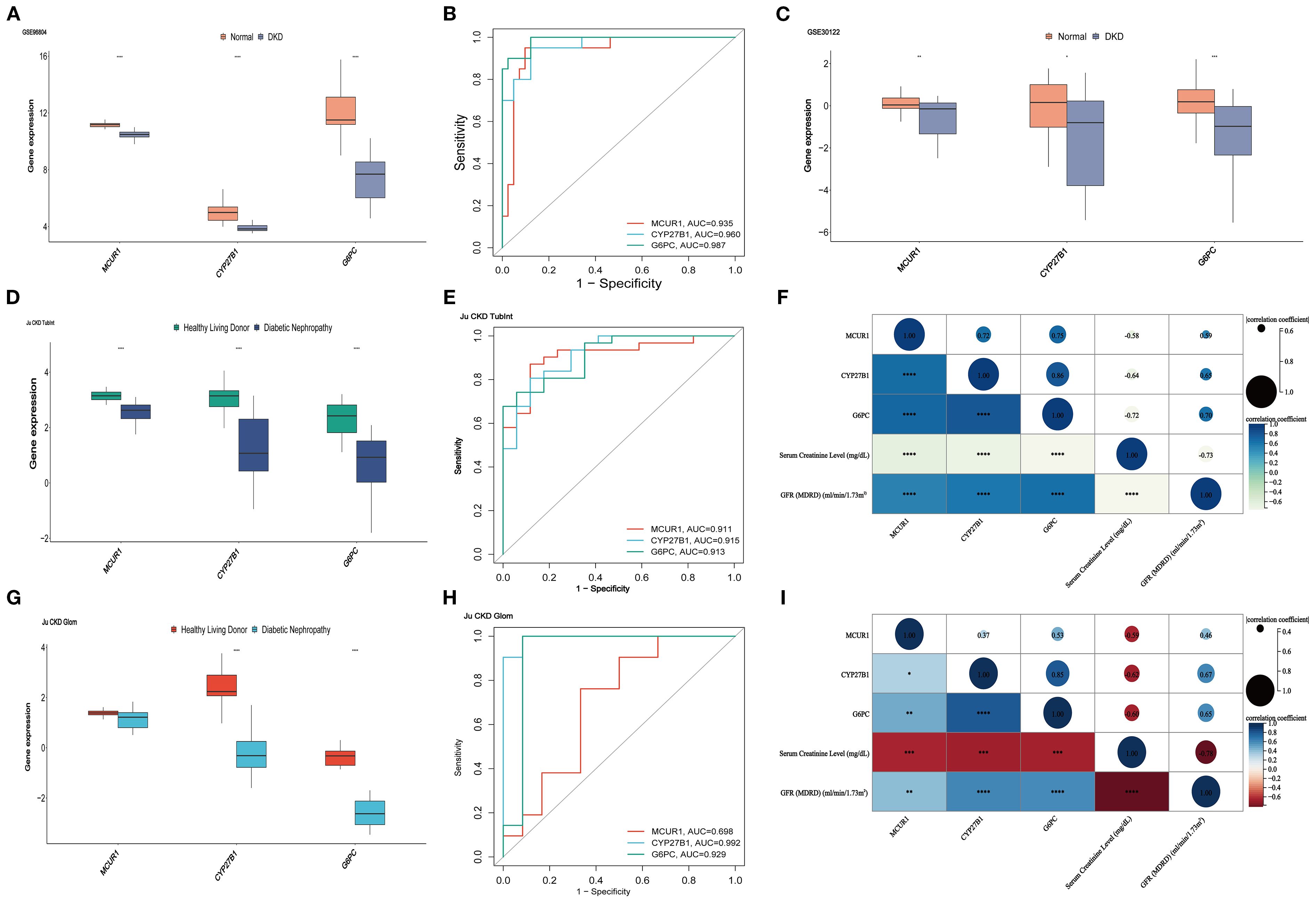 Several panels illustrate gene expression analysis and correlation data related to diabetic kidney disease (DKD). Panels A, C, D, and G show box plots comparing gene expression levels of MCU1, CYP27B1, and GP6C in normal versus DKD or diabetic nephropathy samples. Panels B, E, and H display ROC curves assessing the diagnostic performance of these genes. Panels F and I depict correlation matrices, highlighting relationships between gene expression and clinical variables like serum creatinine level and GFR. Different colors and symbols indicate varying levels of correlation and significance.