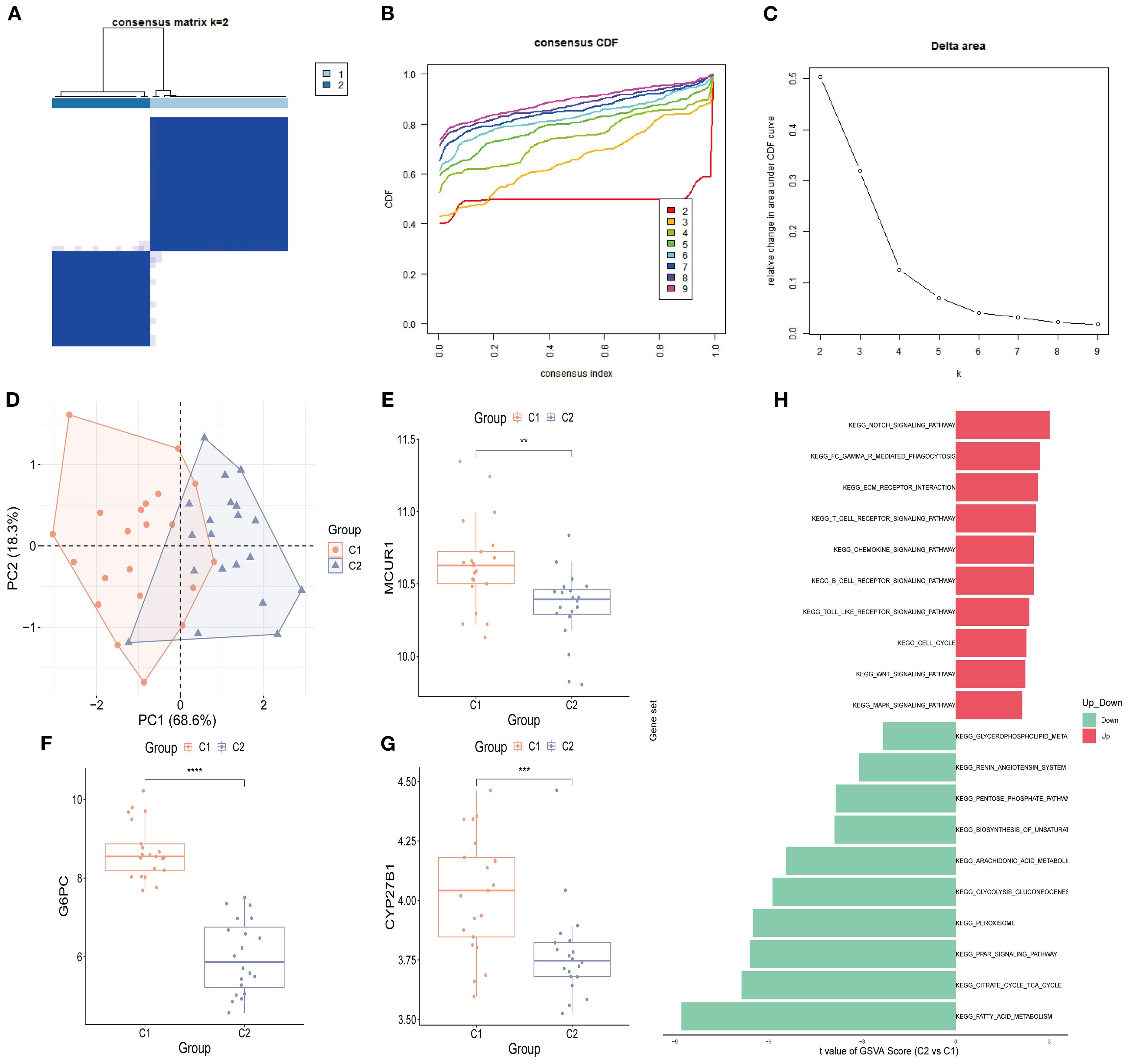 A combination of charts and plots related to data analysis: - A) Heatmap with two clusters, consensus matrix \( k=2 \). - B) Consensus CDF plot with multiple colored lines showing consensus indices. - C) Delta area plot showing relative changes in area under CDF curve. - D) PCA plot differentiating two groups (C1, C2) on PC1 and PC2 axes. - E, F, G) Box plots comparing gene expression levels (MCU, GP6, CYP27B1) between groups C1 and C2, showing statistical significance. - H) Bar chart displaying gene sets with up and down-regulated values between groups, indicated by T values of GSVA score. Each section represents different parts of a comprehensive data analysis.