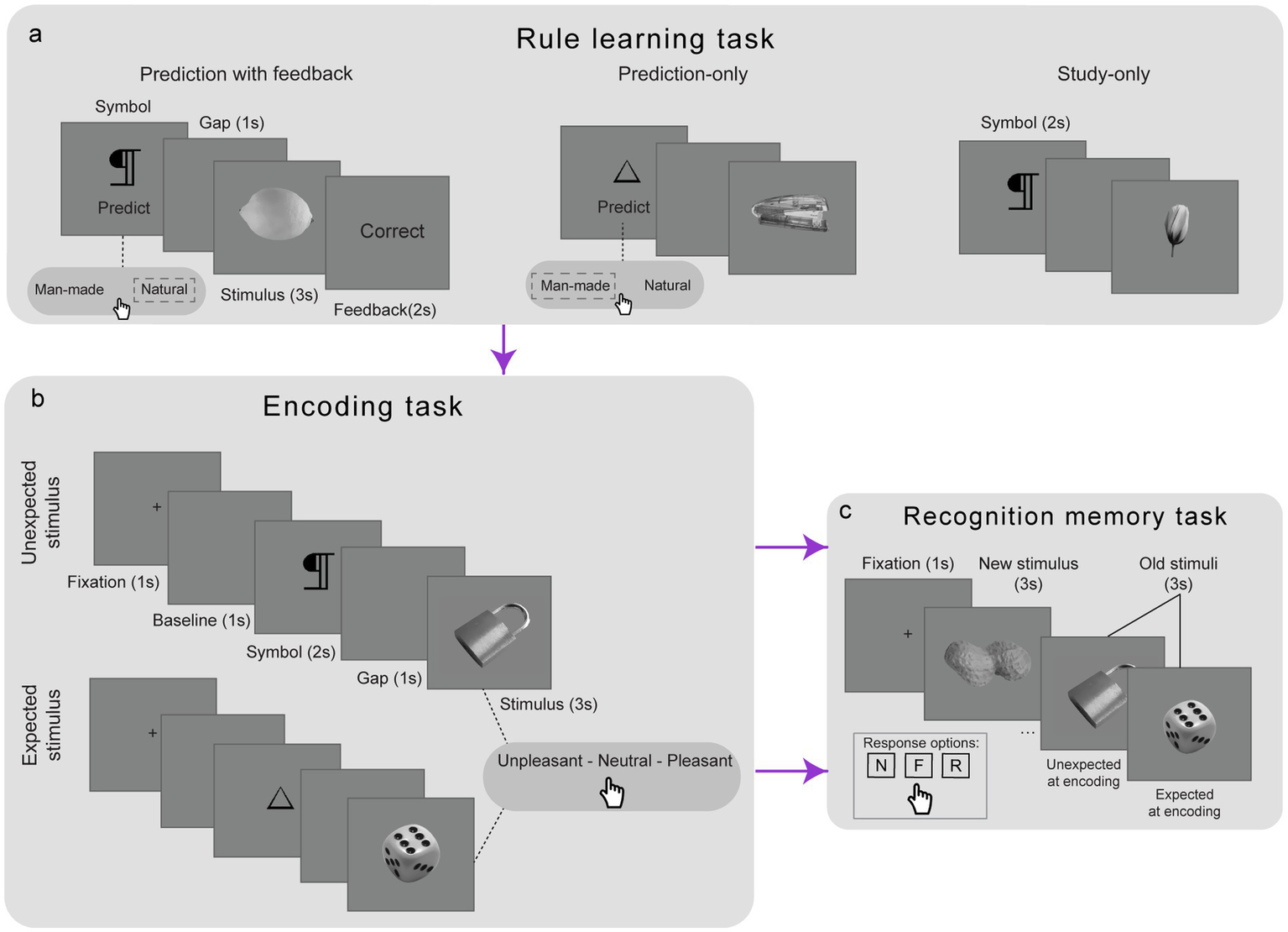 Diagram illustrating a cognitive study with three tasks: a) Rule learning task, featuring prediction with feedback, prediction-only, and study-only phases; b) Encoding task, showing stimulus presentation following unexpected or expected stimuli; c) Recognition memory task, involving fixation, new stimulus, and recognition of old stimuli, with response options. Each task is marked with distinct symbols and arrows indicating progression.