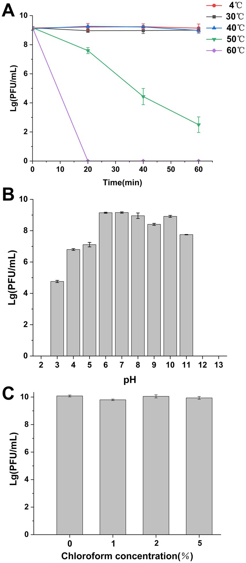 Three panels show the stability of phages under different conditions. Panel A displays a line graph of phage concentration over time at various temperatures (four to sixty degrees Celsius), with concentrations decreasing significantly at fifty and sixty degrees. Panel B shows a bar chart of phage concentration across a pH range from two to twelve, with stability being highest between pH six and ten. Panel C illustrates a bar chart of phage concentration at chloroform concentrations of zero to five percent, indicating minimal impact on stability.