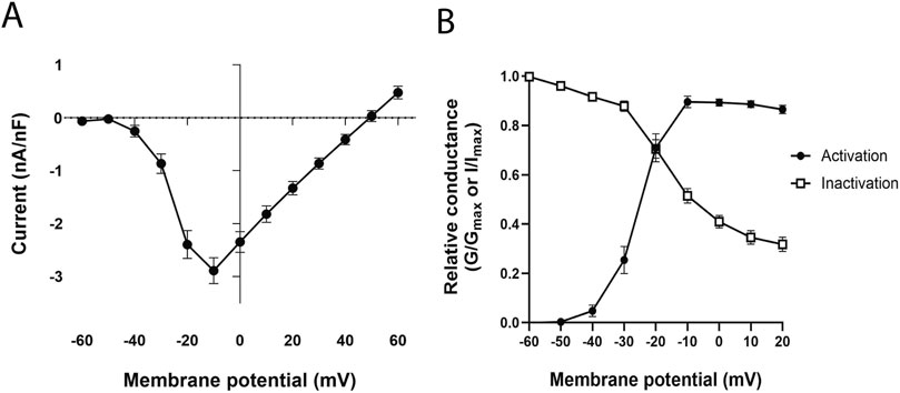 Panel A shows a line graph of membrane potential versus current (in nanoamperes per nanofarad), with the curve dipping to a maximal current at -10 millivolts. Panel B depicts relative conductance versus membrane potential. Two lines represent activation and inactivation, intersecting at approximately -20 millivolts. The activation line rises, while the inactivation line falls.