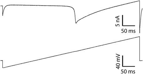 Graph showing a voltage clamp trace with two distinct lines. The upper trace represents current, measured in nanoamperes (nA) with a scale bar of 5 nA over 50 milliseconds (ms). The lower trace indicates voltage, measured in millivolts (mV) with a scale bar of 40 mV over 50 ms.