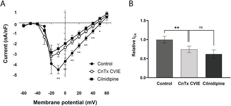 Panel A shows a line graph of current versus membrane potential for three groups: Control, CnTx CVIE, and Cilnidipine. Panel B presents a bar graph comparing relative Ica for the same groups. Statistical significance is indicated with asterisks.