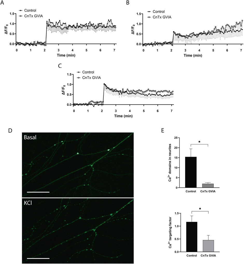 Graphs A, B, and C show line charts with fluorescence intensity over time comparing control and CnTx GVIA treatments. Images D show fluorescence in neural cells under basal and KCl conditions. E presents two bar charts indicating calcium domain and targeting factor differences, with significant reductions in CnTx GVIA treatments.