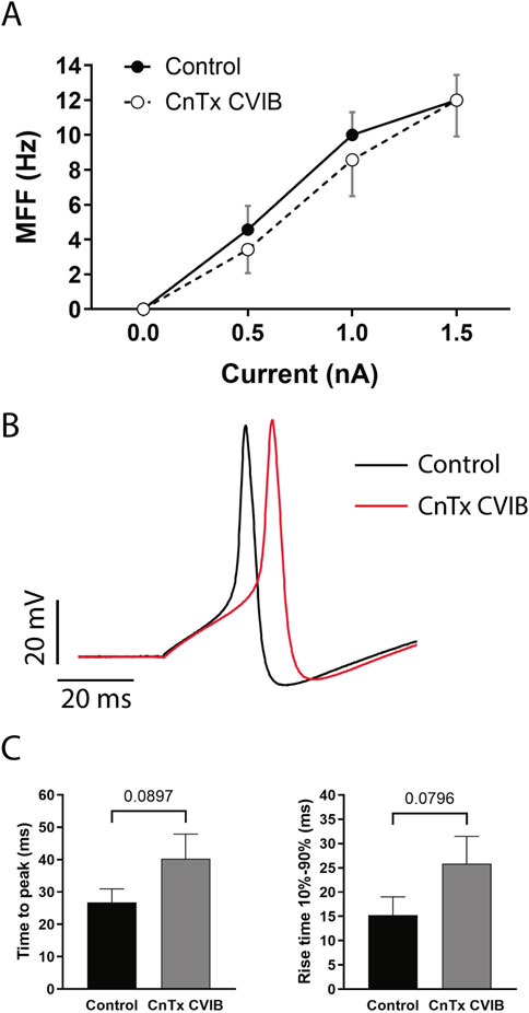 Graphical data with three panels: Panel A shows a line graph comparing MFF (Hz) against current (nA) for control and CnTx CVIB, with both showing an upward trend. Panel B displays voltage traces over time (milliseconds), with distinct peaks for control and CnTx CVIB. Panel C contains two bar charts comparing time to peak and rise time (10%-90%) in milliseconds for control and CnTx CVIB, with CnTx CVIB showing higher values in both.