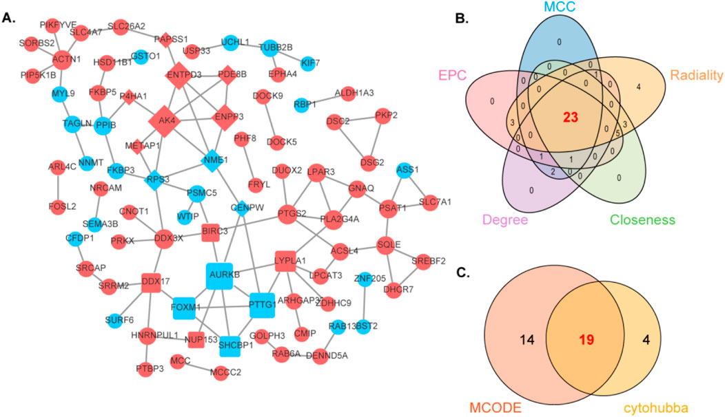 A network diagram shows interconnected nodes in red and blue, labeled with abbreviations. Panel B displays a five-set Venn diagram with overlapping areas highlighted, indicating common elements, with a central number 23. Panel C shows a two-set Venn diagram labeled