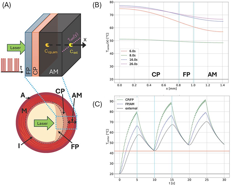 Diagram split into three parts: (A) shows laser interaction with a layered structure, highlighting CP, FP, and AM. (B) is a graph displaying temperature profiles over distance in these layers at various times. (C) depicts temperature changes over time for different layer interfaces, denoted by different line styles.