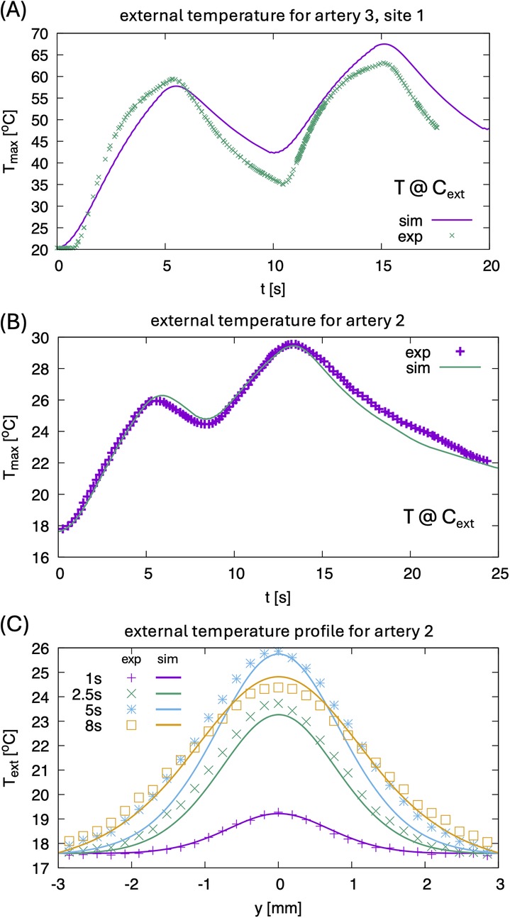 Graphs comparing experimental and simulated external temperature data for arteries. (A) Artery 3, site 1: Temperature peaks twice over 20 seconds. (B) Artery 2: Similar temperature fluctuations over 25 seconds. (C) Artery 2 profile: Temperature variations at different times (1s, 2.5s, 5s, and 8s) across y-axis positions.