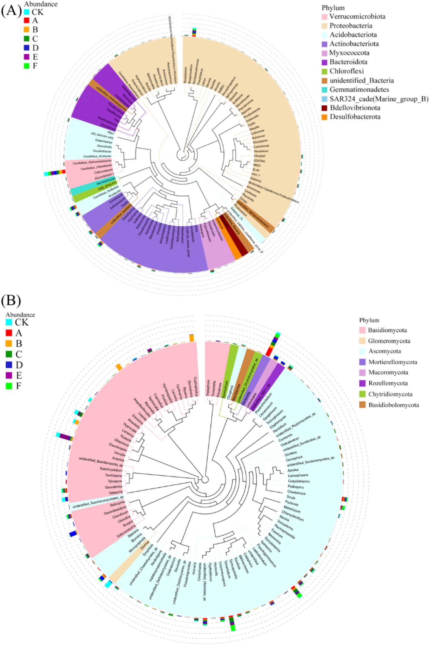 (Phylum-level composition) — Circular stacked charts (A: bacteria; B: fungi) show relative abundances of dominant phyla (e.g., Proteobacteria, Actinobacteriota, Chloroflexi; Ascomycota, Basidiomycota). Colors distinguish taxa; labels identify major groups.