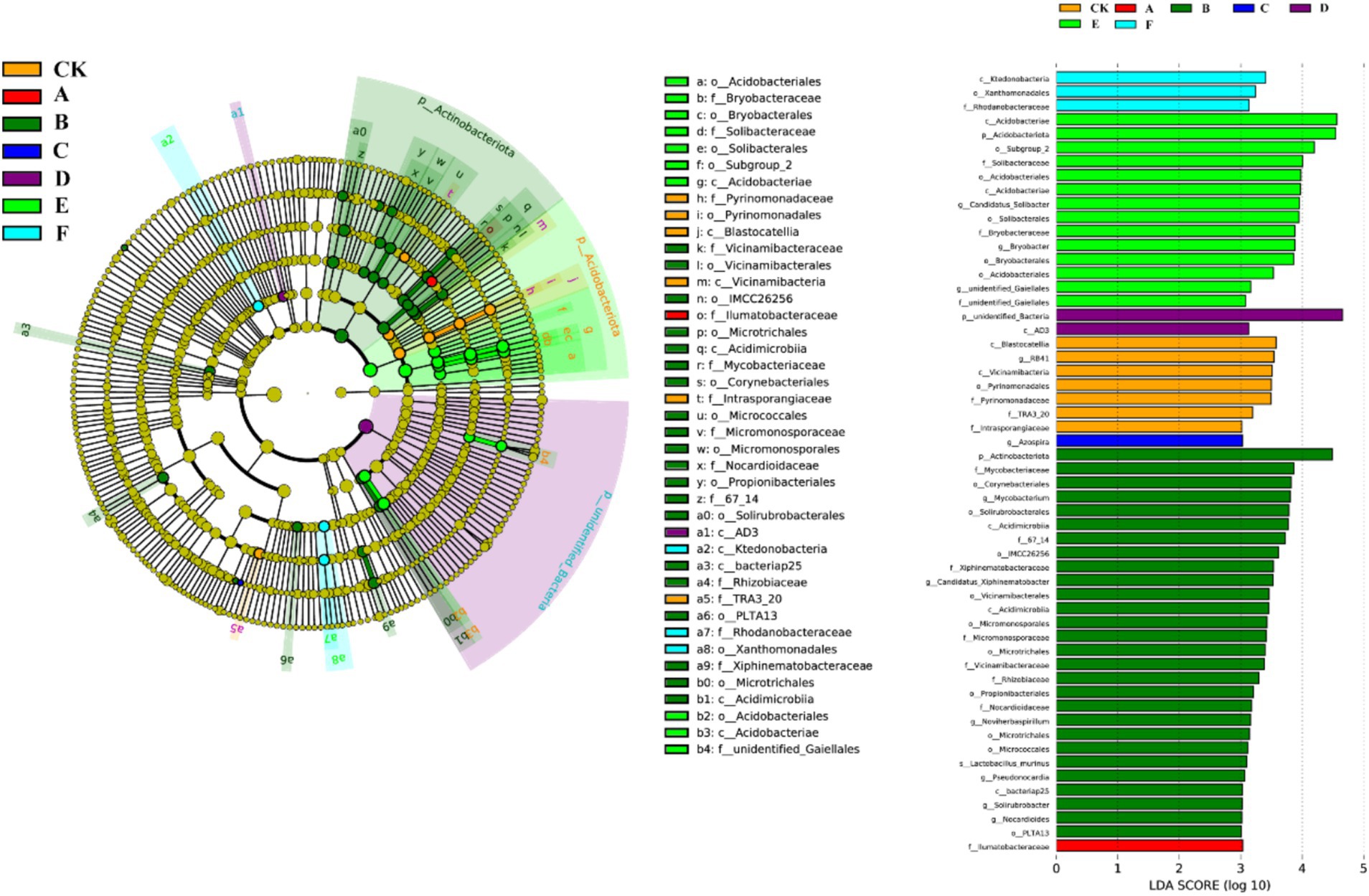 (LEfSe) — Left: a cladogram with branches colored by the treatment under which taxa are enriched (CK, A–F). Right: bars of LDA scores (log scale) for discriminant taxa grouped by treatment color.