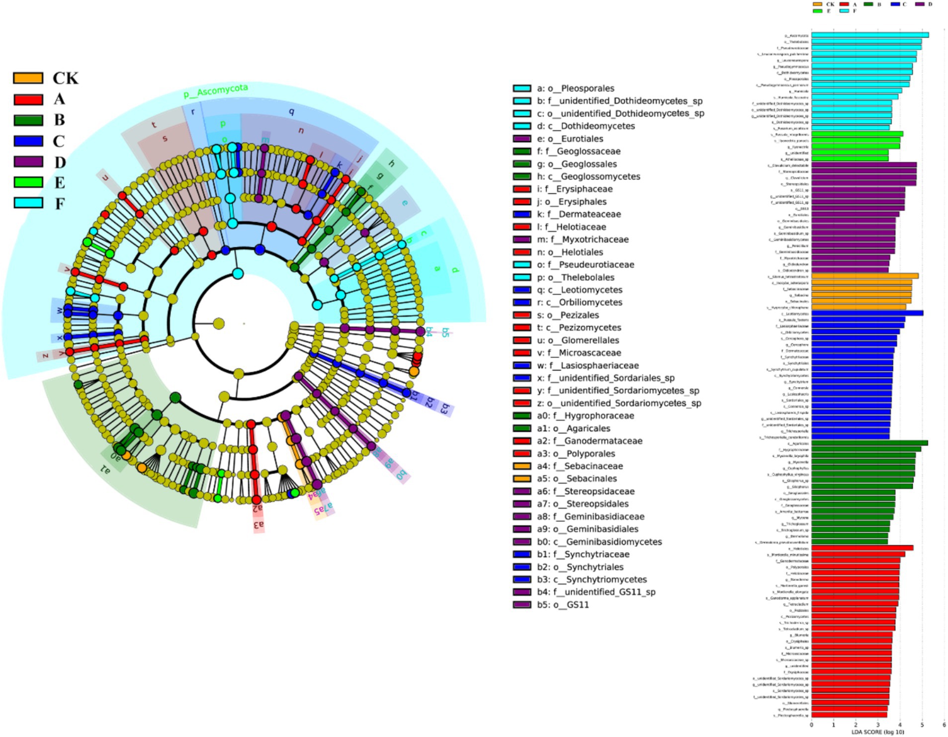 (Phylogeny + LDA bars) — A circular phylogenetic tree highlighting taxa associated with treatments A–F, paired with horizontal bars of LDA scores; taxon names listed beside bars.