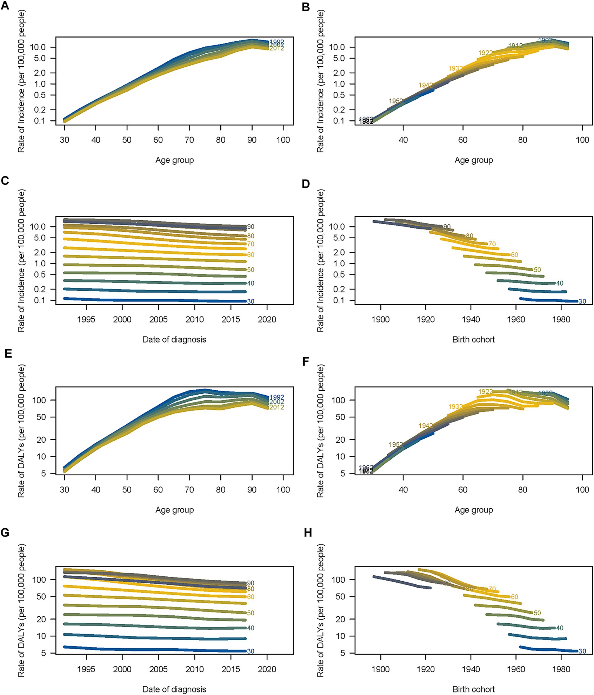 Grouped graphs showing rates of incidence and DALYs per 100,000 people based on age, date of diagnosis, and birth cohort. Panels A and E depict rates by age group from 1882 to 2012, showing an upward trend. Panels B and F show age group rates by birth cohort from 1882 to 2012, also with an upward trend. Panels C and G display rates by date of diagnosis from 1990 to 2020, showing horizontal lines for age groups indicating stability. Panels D and H depict birth cohort rates from 1900 to 1980, showing a downward trend.