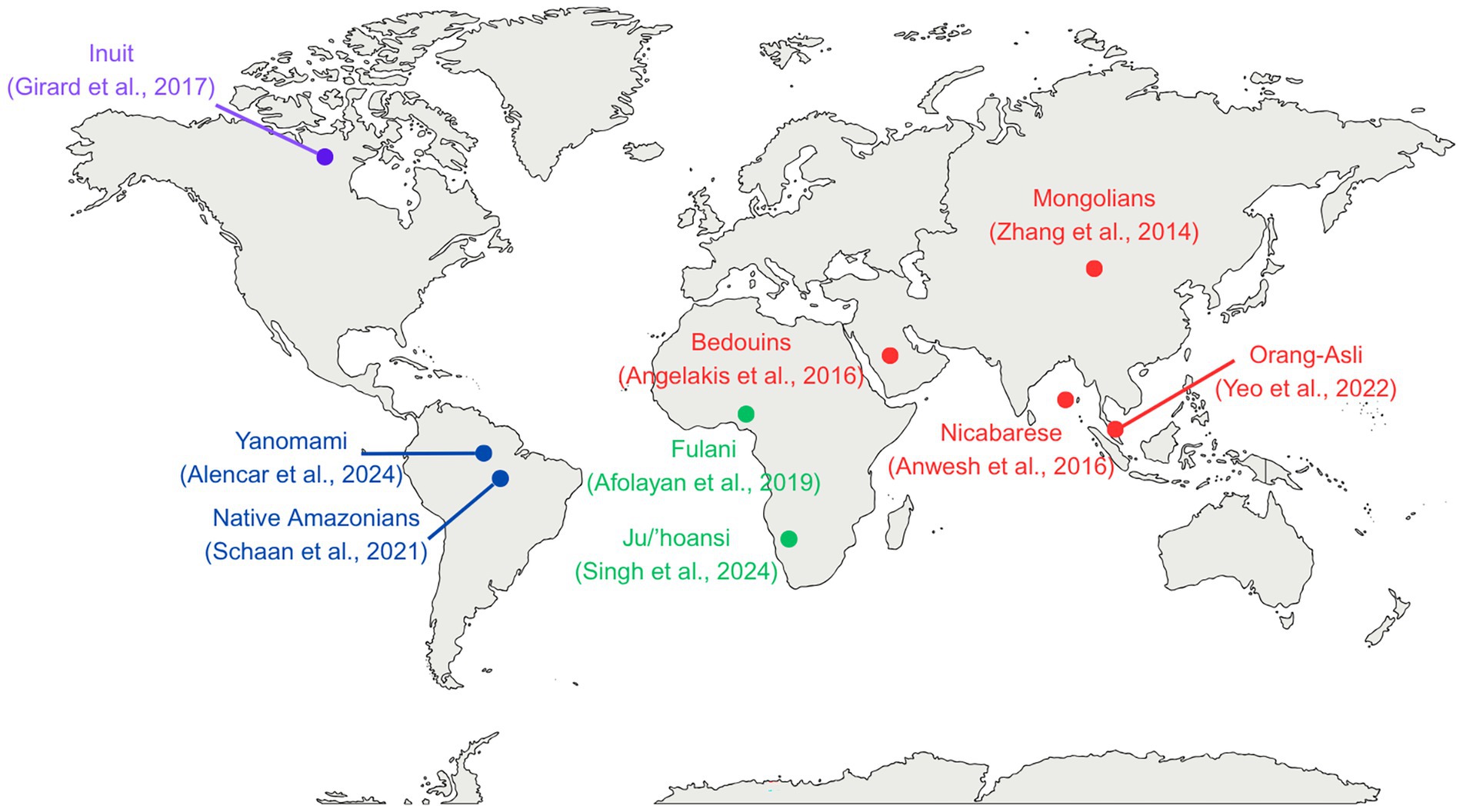 World map highlighting various Indigenous groups and their locations with corresponding studies. The Inuit are noted in North America (Girard et al., 2017), followed by Yanomami (Alencar et al., 2024) and Native Amazonians (Schaan et al., 2021) in South America. Bedouins (Angelakis et al., 2016) and Fulani (Afolayan et al., 2019) are marked in Africa, with Ju’/hoansi (Singh et al., 2024) also in Africa. In Asia, Mongolians (Zhang et al., 2014), Nicabarese (Anwesh et al., 2016), and Orang-Asli (Yeo et al., 2022) are indicated. Different colors and labels are used for each group.