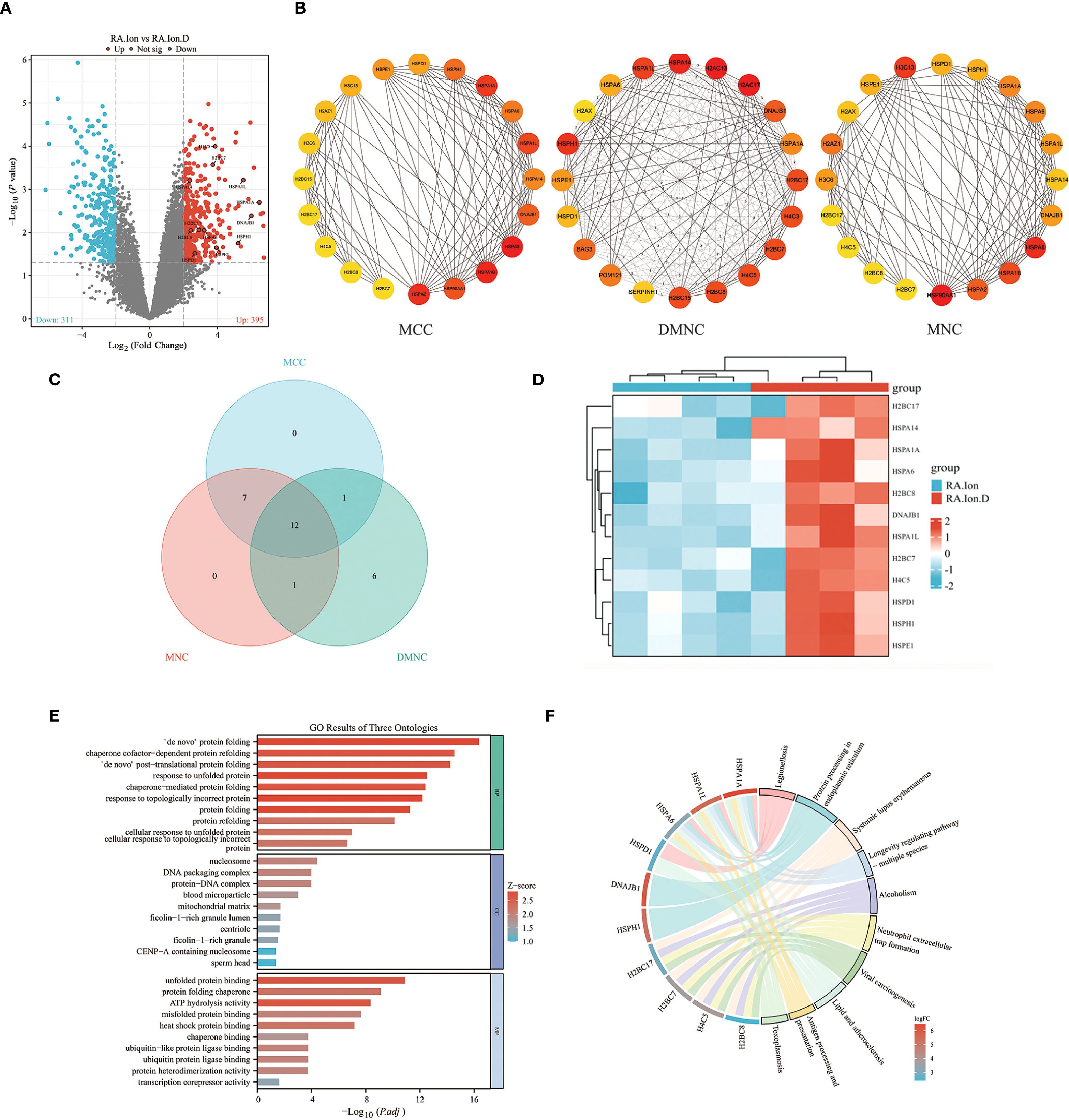 Panel A displays a volcano plot illustrating gene expression changes, with significant genes marked in red and blue. Panel B shows three network visualizations (MCC, DMNC, MNC) with nodes and connecting lines. Panel C includes a Venn diagram contrasting gene overlaps among MCC, MNC, and DMNC. Panel D presents a heatmap of gene expression data categorized into groups. Panel E is a bar graph showing gene ontology results across three categories, with color-coded Z-scores. Panel F features a circular diagram connecting genes and pathways, with color-coded links.