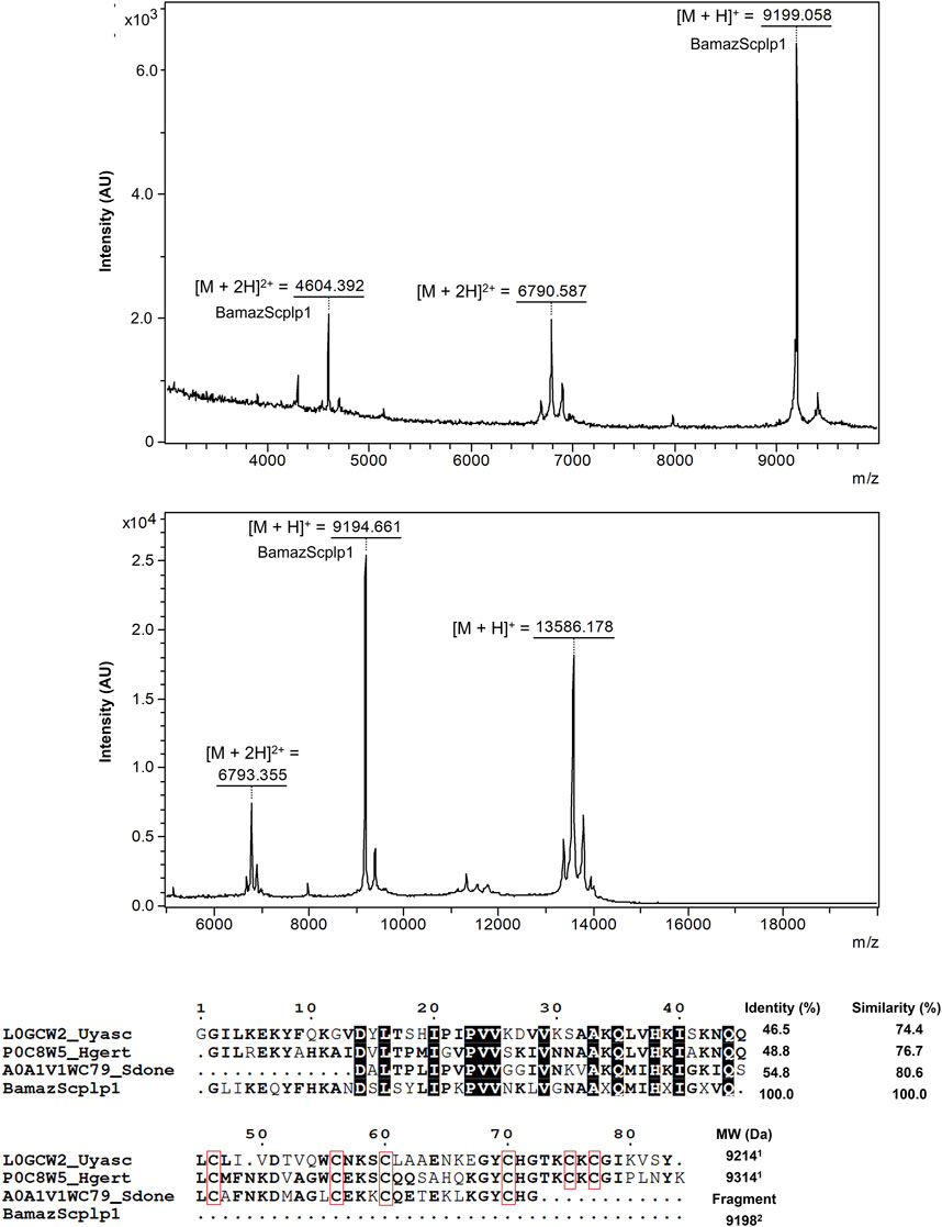 Mass spectrometry graphs and sequence alignment are shown. The top graph displays peaks at specific m/z values: 4604.392, 6790.587, and 9199.058. The middle graph shows peaks at m/z values: 6793.355, 9194.661, and 13586.178. Below the graphs, a sequence alignment compares four protein sequences, highlighting conserved regions and indicating identity and similarity percentages. Molecular weights and fragment information are provided.