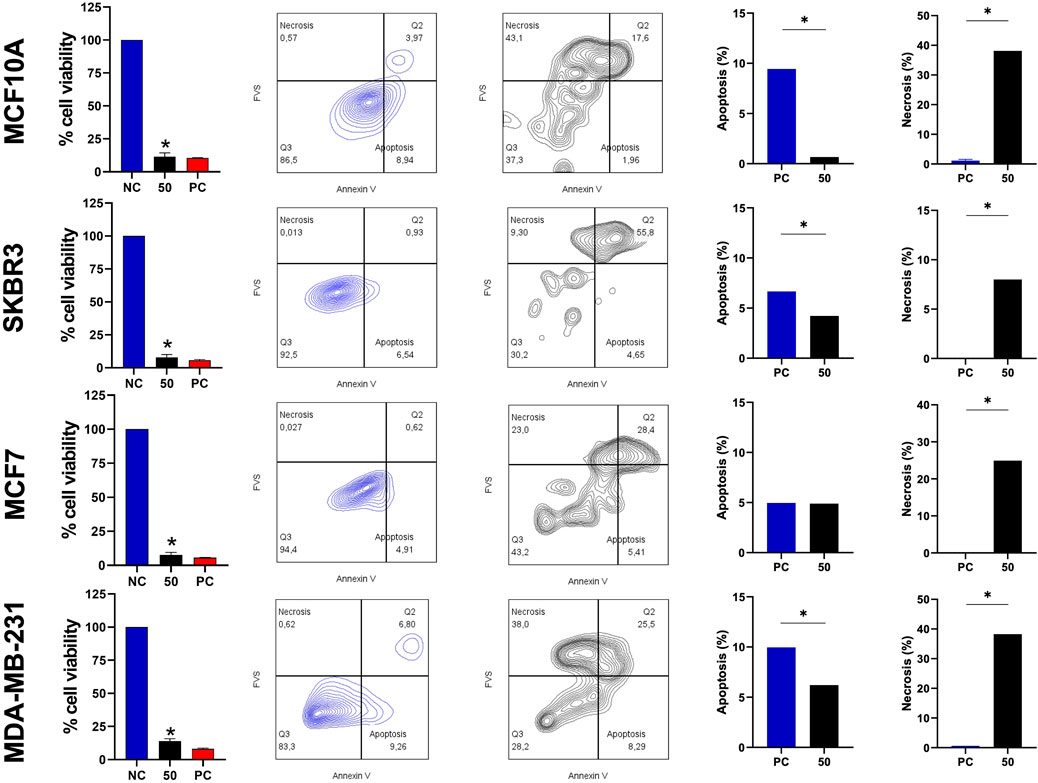 Bar charts and scatter plots show cell viability, apoptosis, and necrosis percentages in four cell lines: MCF10A, SKBR3, MCF7, and MDA-MB-231. Each cell line displays data for negative control (NC), a compound at 50 µM (50), and positive control (PC). Bar charts highlight significant differences, marked by asterisks. Scatter plots present apoptosis and necrosis quadrants using Annexin V versus FVS staining.