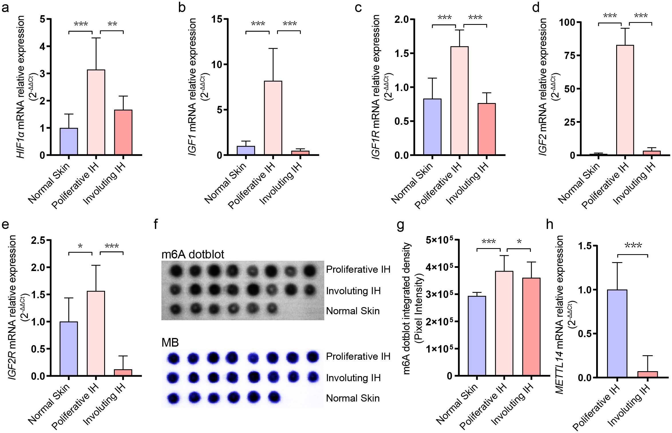 Bar graphs and dot plots compare relative expression levels of various mRNAs and m6A dot blot density across normal skin, proliferative IH, and involuting IH. Significant differences are marked with asterisks. Plots A-E show mRNA expression for HIF1α, IGF1, IGF1R, IGF2, and IGF2R, respectively. Plot F shows m6A dot blots for each category. Plot G presents m6A dot blot integrated density, while plot H shows METTL14 mRNA relative expression, highlighting statistical significance in expression changes.