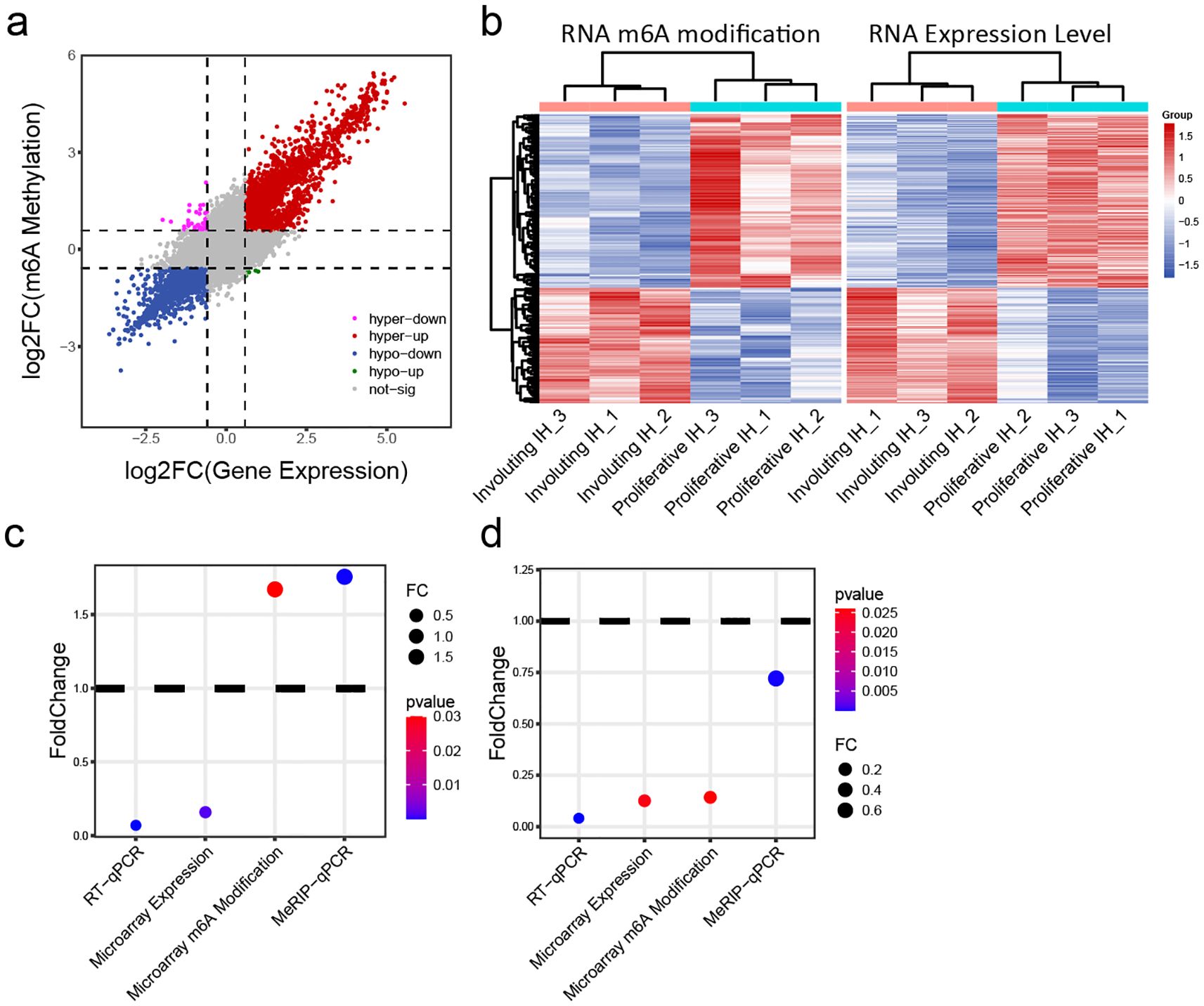 Scatter plot (A) showing log2 fold changes in m6A methylation versus gene expression with categories of significance. Heatmaps (B) displaying RNA m6A modification and expression levels across samples, with color gradients highlighting differences. Dot plots (C and D) illustrating fold change and p-value for RT-qPCR, microarray expression, and modifications, with color indicating p-value significance and dot size representing fold change.