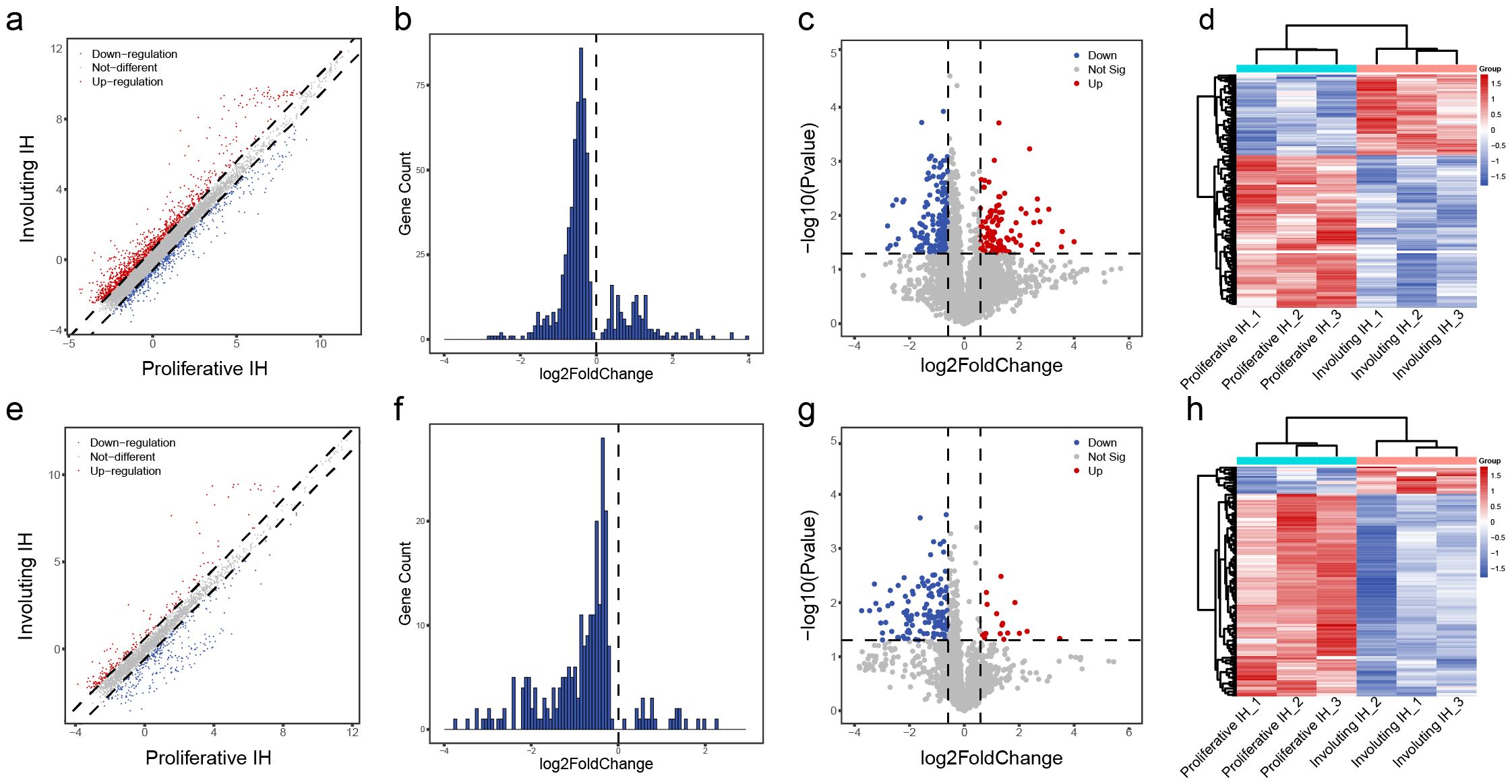 The image displays two sets of figures, A-D and E-H. Figures A and E are scatter plots comparing gene expression levels between proliferative and involuting infantile hemangioma (IH), with data points marked for up-regulation, down-regulation, and not significant changes. Figures B and F are histograms showing the distribution of log2 fold change in gene expression. Figures C and G are volcano plots illustrating the statistical significance versus fold change of gene expressions. Figures D and H are heatmaps depicting hierarchical clustering of gene expression data for different IH samples, with color gradients representing expression levels.
