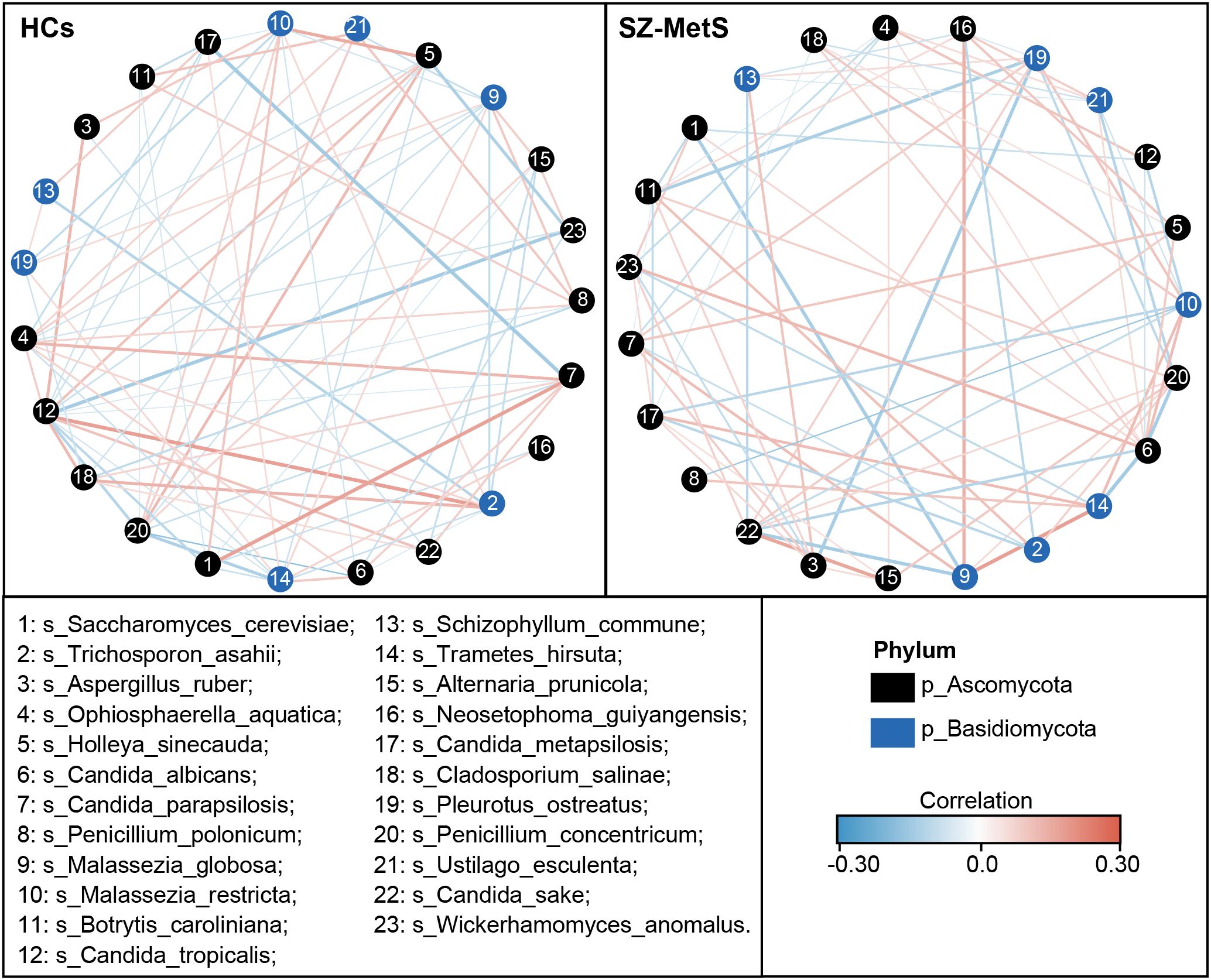 Two circular correlation network diagrams compare HC (Healthy Controls) and SZ-MetS (Schizophrenia with Metabolic Syndrome) groups. Each diagram shows nodes representing fungal species, colored by phylum: black for Ascomycota and blue for Basidiomycota. Lines connecting nodes indicate correlations, with blue for negative and red for positive correlations. The key lists species and a correlation color gradient ranging from negative (blue) to positive (red).