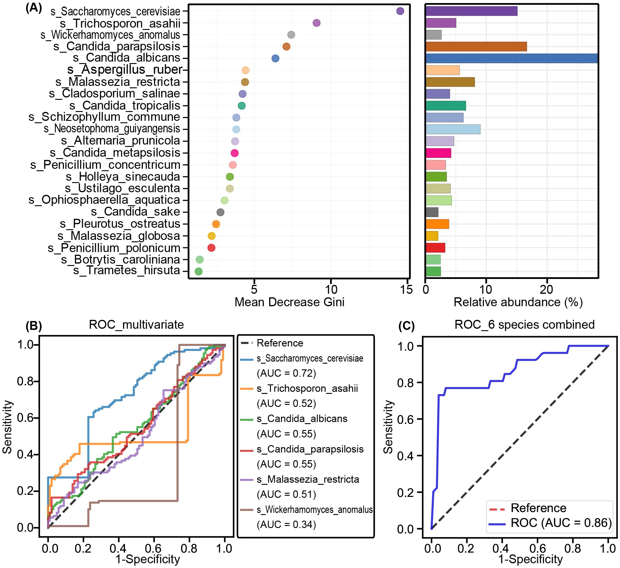 Panel A displays two graphs: a scatter plot showing species importance ranked by Mean Decrease Gini and a bar chart of their Relative Abundance. Panel B presents ROC curves for multiple species with varying AUC values, showing predictive accuracy. Panel C shows an ROC curve for six species combined, with an AUC of 0.86, indicating model performance.