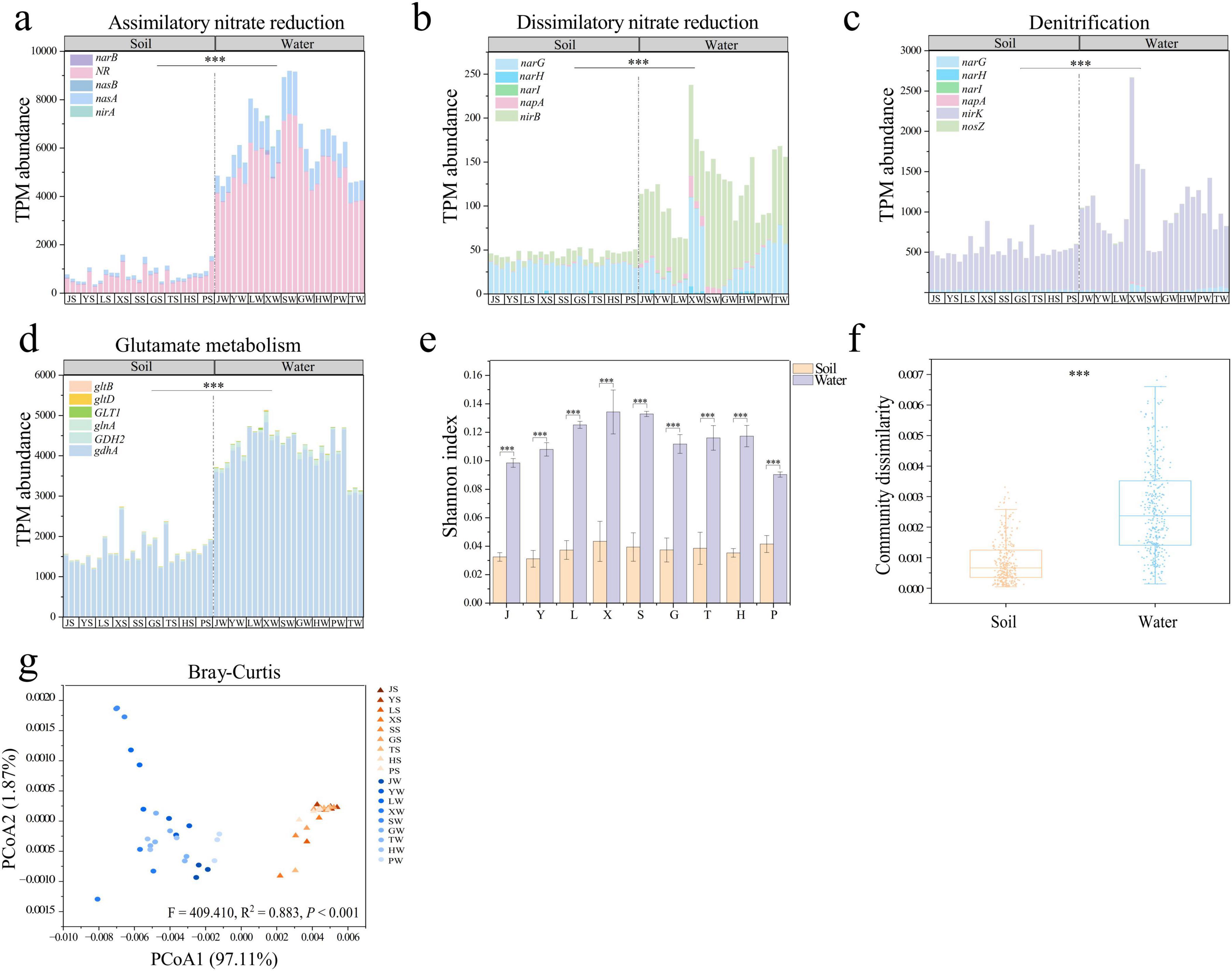 Charts comparing soil and water samples in various aspects. Panels a-d display TPM abundance for assimilatory and dissimilatory nitrate reduction, denitrification, and glutamate metabolism, with soil and water contrasted. Panel e shows the Shannon index, indicating higher diversity in water. Panel f presents community dissimilarity, highlighting significant differences. Panel g depicts a Bray-Curtis PCoA plot differentiating soil and water community compositions. Significance levels are marked by asterisks.
