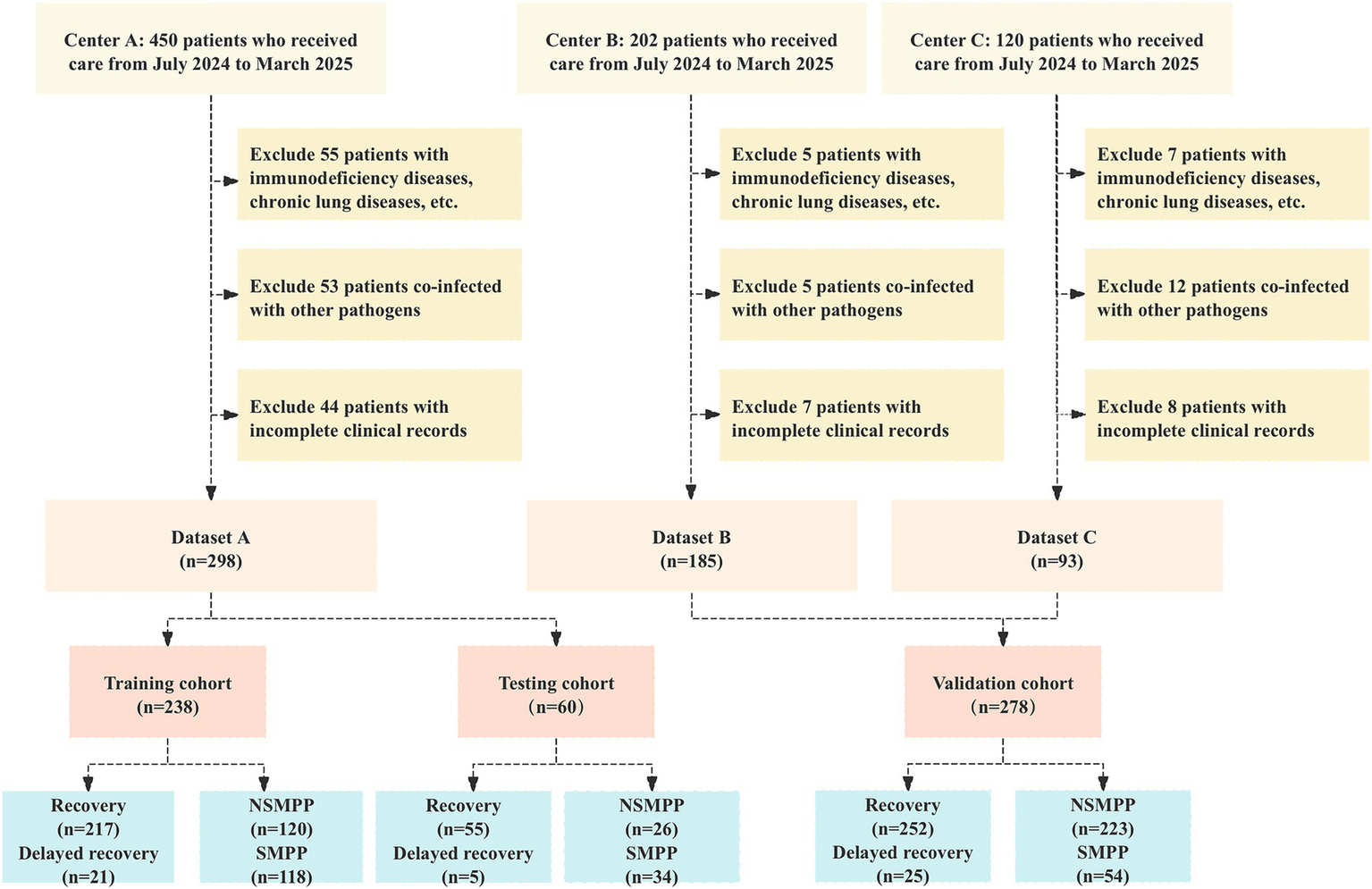 Flowchart showing patient exclusion and dataset creation from three centers during July 2024 to March 2025. Center A started with 450 patients, excluding 152 for various reasons, resulting in Dataset A with 298 patients. This dataset is split into a training cohort (238 patients) and a testing cohort (60 patients), further divided into categories such as recovery, delayed recovery, NSMPP, and SMPP. Center B began with 202 patients, excluding 17, resulting in Dataset B with 185 patients. Center C started with 120 patients, excluding 27, resulting in Dataset C with 93 patients. These are combined into a validation cohort with 278 patients.