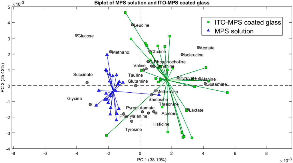 Biplot of MPS solution and ITO-MPS coated glass showing principal components PC1 and PC2. Green squares represent ITO-MPS coated glass, and blue triangles represent MPS solution. Various metabolites, such as glucose, leucine, and succinate, are plotted. PC1 accounts for 38.19 percent and PC2 accounts for 25.42 percent of variance.