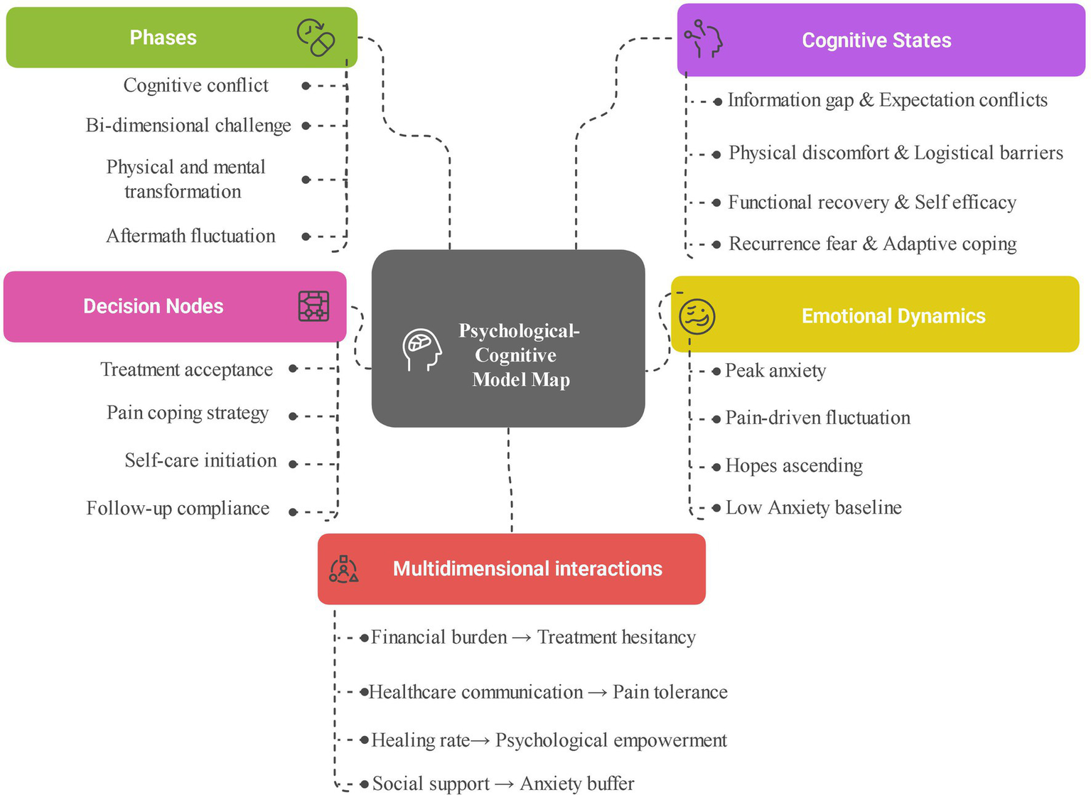 Psychological-Cognitive Model Map illustrating five categories: Phases, Decision Nodes, Cognitive States, Emotional Dynamics, and Multidimensional Interactions. Each category connects to sub-elements. Phases include cognitive conflict and aftermath fluctuation. Decision Nodes cover treatment acceptance and self-care initiation. Cognitive States address information gaps and self-efficacy. Emotional Dynamics focus on peak anxiety and hopes ascending. Multidimensional Interactions relate financial burden to treatment hesitancy and social support to anxiety buffer. Dotted lines connect elements within the model, highlighting interrelated aspects.