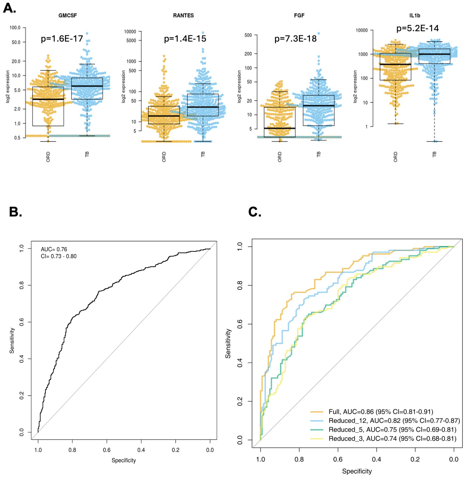 Panel A shows box plots comparing cytokine expression levels (GMCSF, RANTES, FGF, IL1b) in two groups, ORD and TB, with p-values indicating significance. Panel B presents an ROC curve with AUC 0.76, CI 0.73-0.80, displaying sensitivity versus specificity. Panel C features ROC curves for different models, comparing AUC values from 0.74 to 0.86 with corresponding confidence intervals.