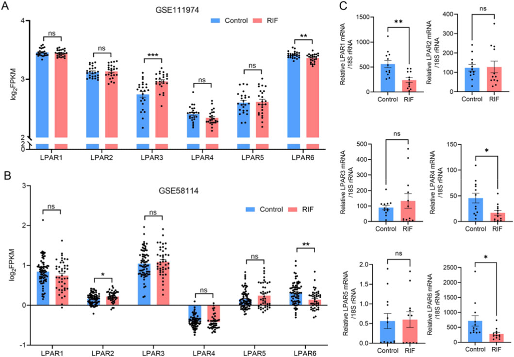 Bar graphs show gene expression levels of LPAR1 to LPAR6, comparing Control and RIF groups in two datasets, GSE111974 and GSE58114. Panel A indicates significant differences at LPAR3 and LPAR6, panel B at LPAR2 and LPAR6, and panel C shows various mRNA changes. Significance is marked by asterisks, with “ns” for non-significant differences.