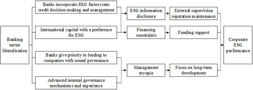 The mechanism diagram illustrating how banking liberalisation promotes improvements in corporate ESG performance. The diagram shows that liberalisation encourages banks to take ESG factors into consideration, introduces international capital that favours ESG, prioritises lending to well-governed companies, and brings in governance mechanisms and experience. This encourages companies to improve their ESG disclosure levels, alleviates financing constraints, helps to curb managerial myopia, and ultimately promotes improvements in corporate ESG performance.