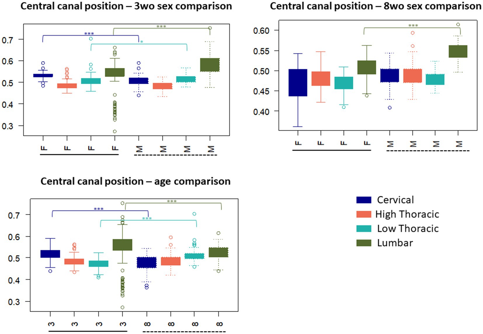 Box plots comparing central canal positions. Top left: Comparison at 3 weeks old by sex, showing differences between cervical, thoracic, and lumbar regions. Top right: Comparison at 8 weeks old by sex. Bottom: Age comparison at 3 and 8 weeks old. Four regions are color-coded: blue for cervical, red for high thoracic, turquoise for low thoracic, and green for lumbar. Statistical significance is indicated by asterisks.